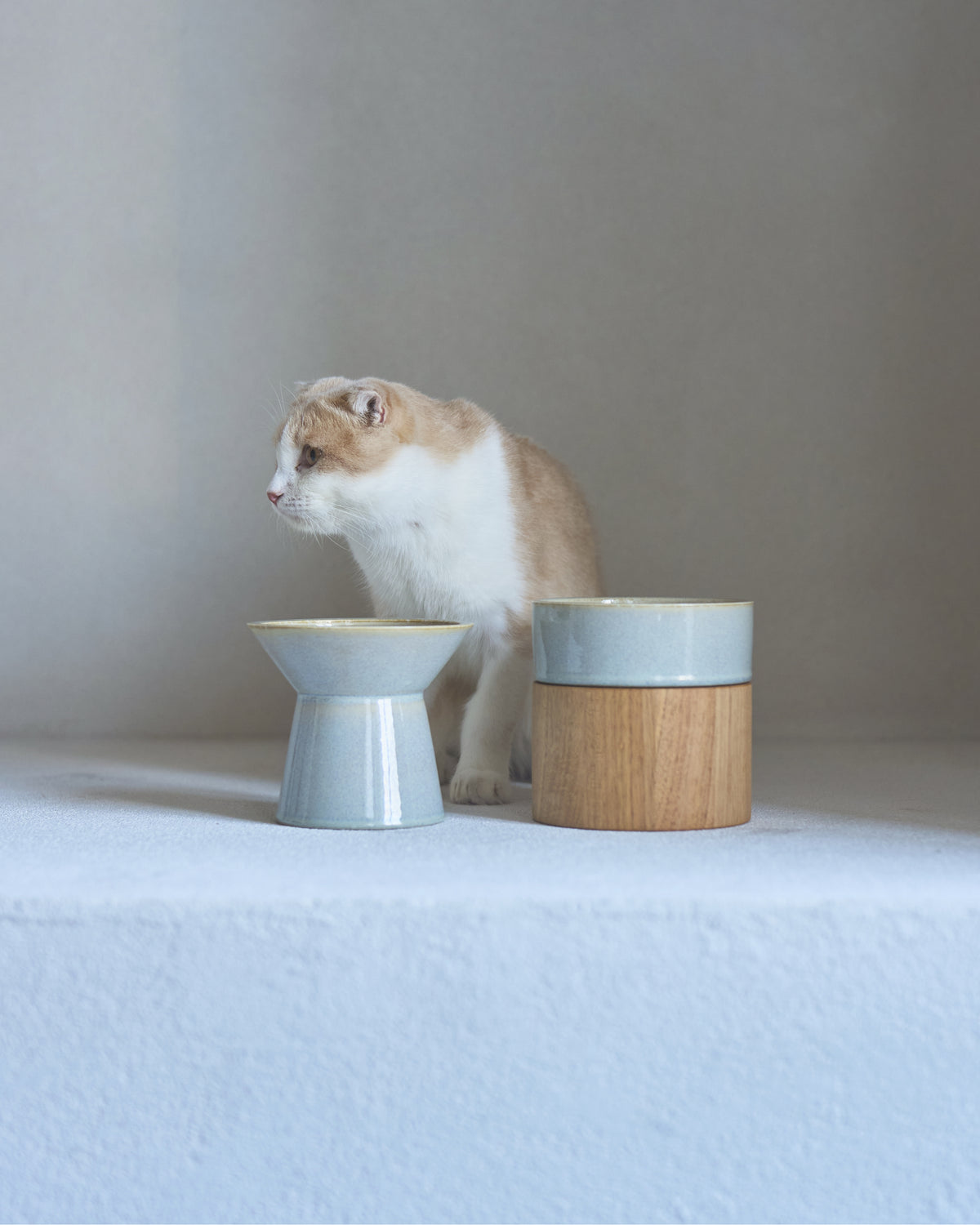 HM BOWL / 淺蔥（asagi）