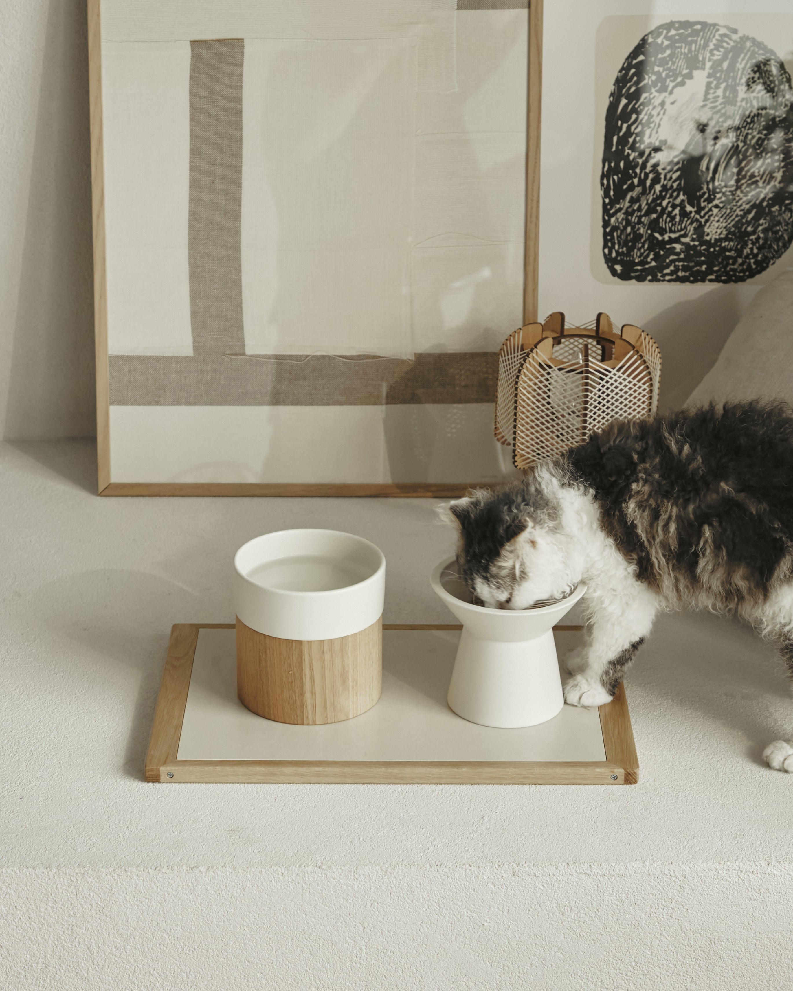 HM BOWL | シンプルなミニマルデザインの猫用ウォーターボウル。美濃焼