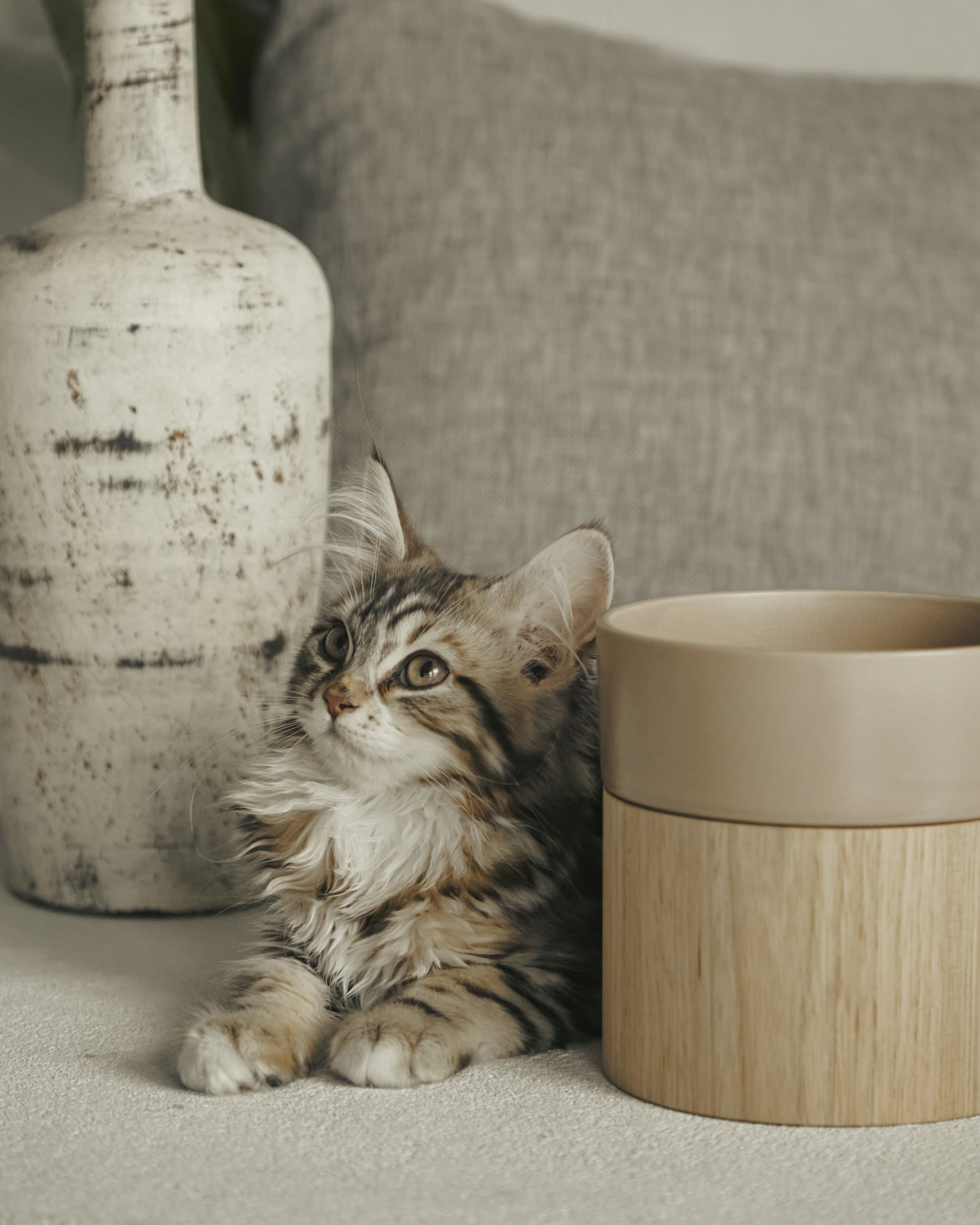 HM BOWL | シンプルなミニマルデザインの猫用ウォーターボウル。美濃焼