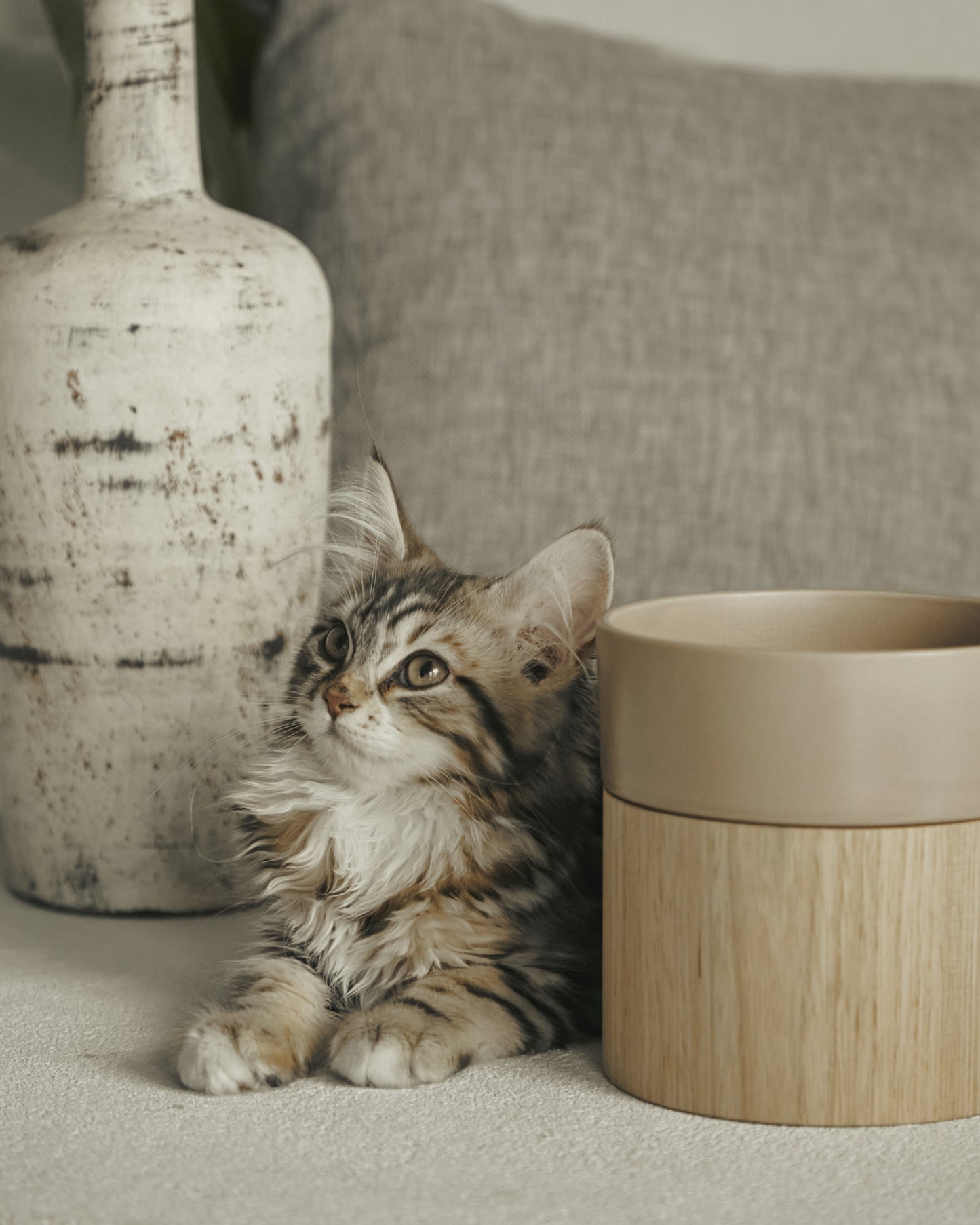 HM BOWL