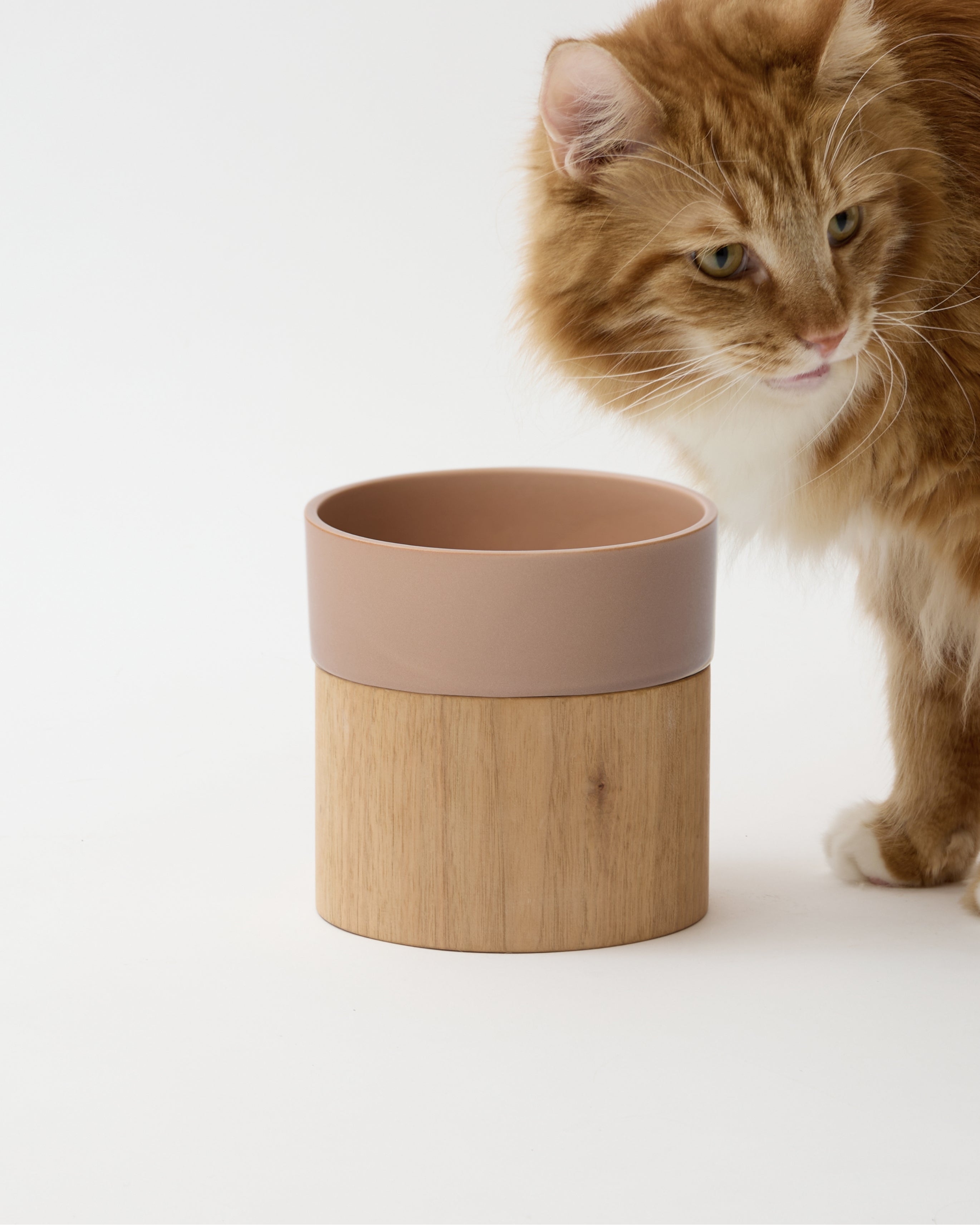 アンドキャット　鉄製　ウォーターボウル HM BOWL | シンプルなミニマルデザインの猫用ウォーターボウル。美濃焼