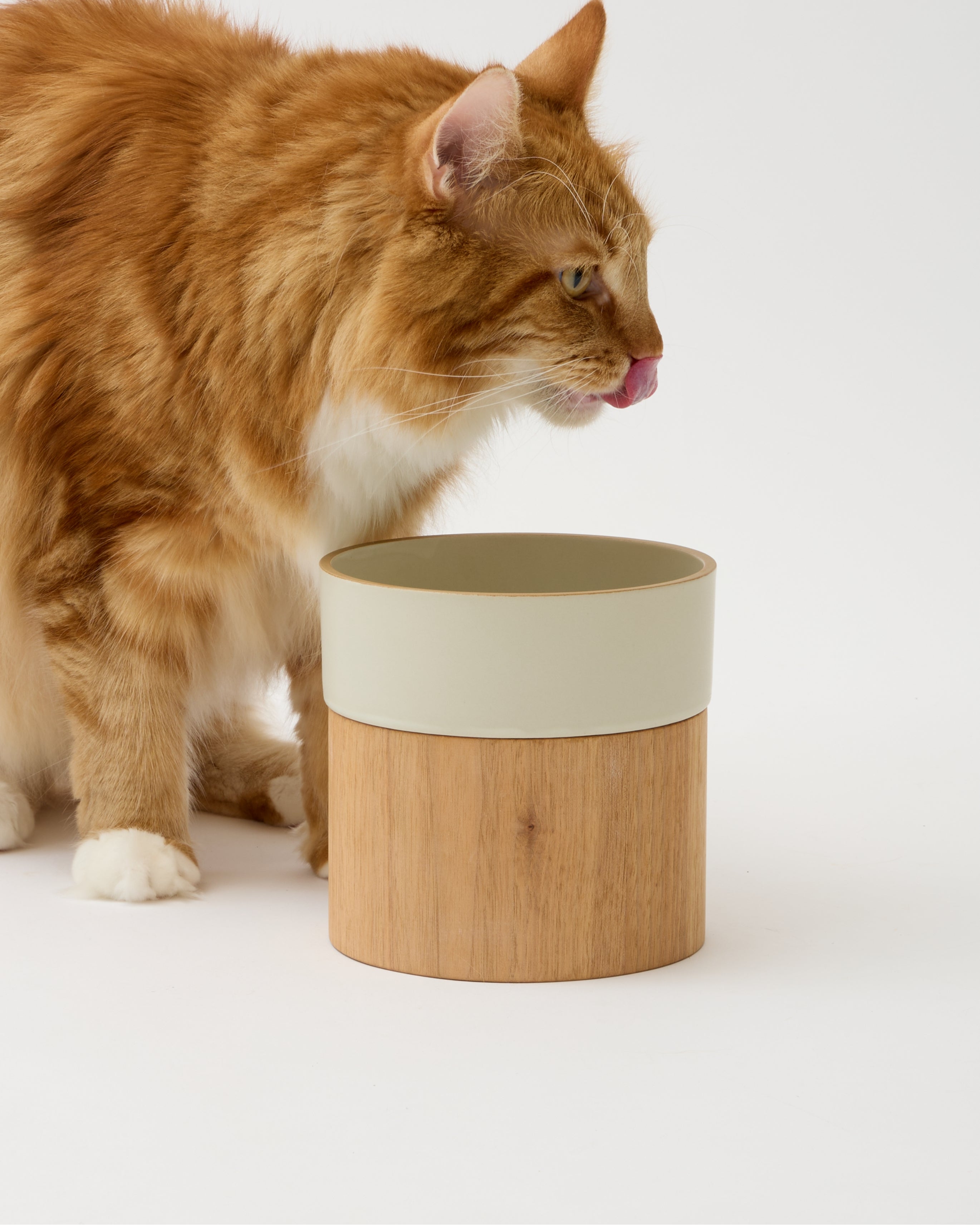 HM BOWL | シンプルなミニマルデザインの猫用ウォーターボウル。美濃焼