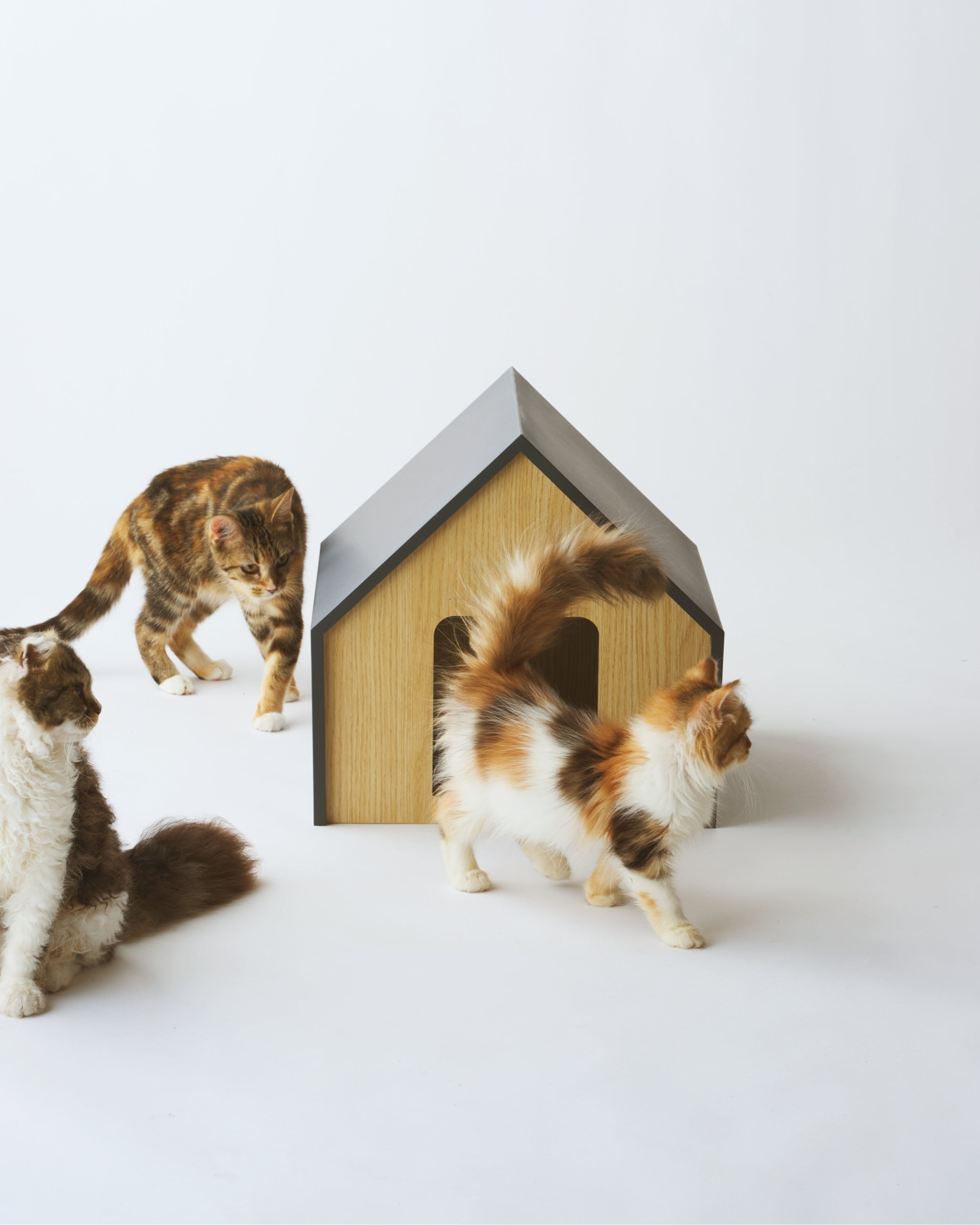 HÜTTE｜猫と暮らす、すっとインテリアに馴染むシンプルでミニマルな