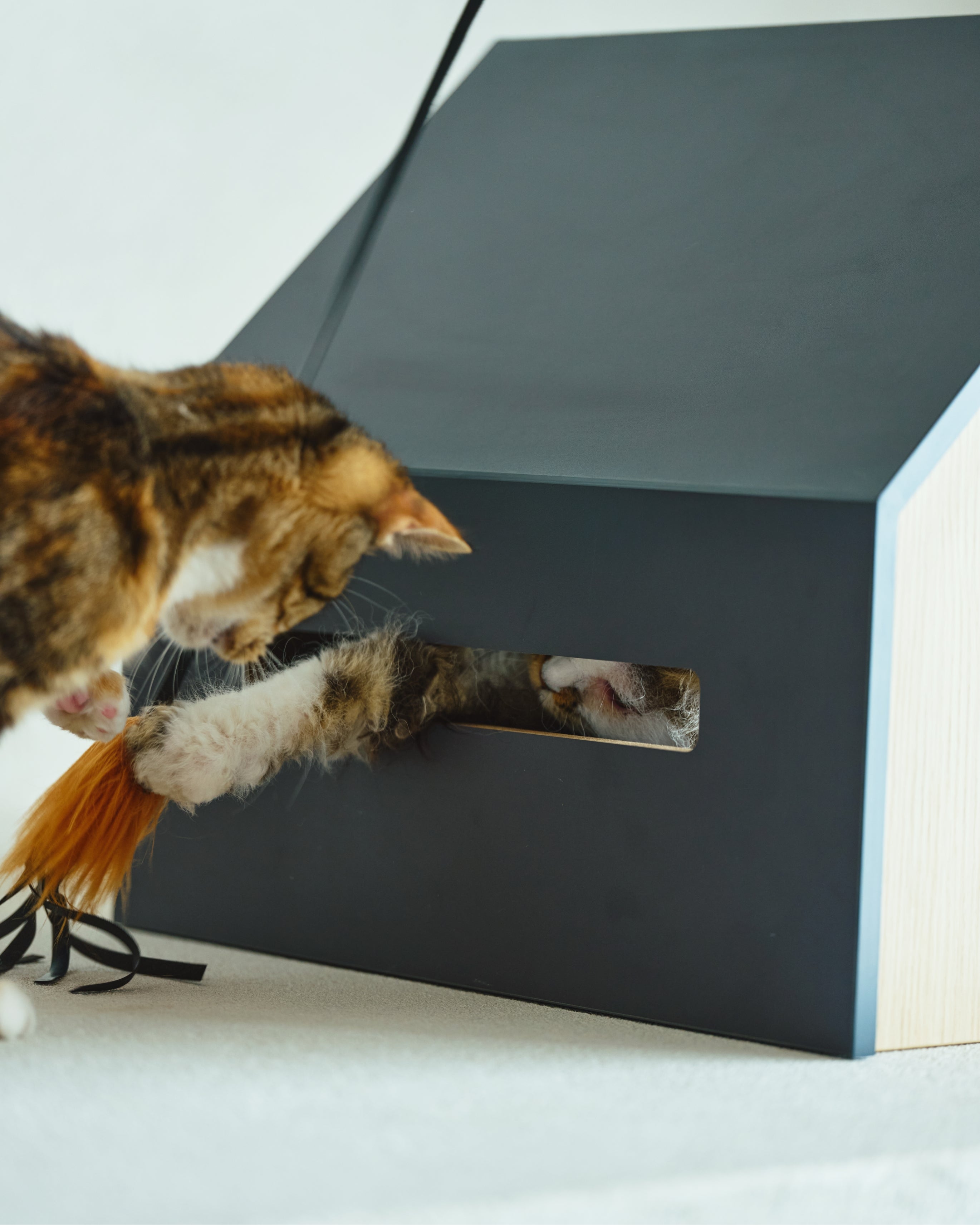 【新品同様】&CAT HÜTTE キャットハウス ヒュッテ アンドキャット✨ HÜTTE｜猫と暮らす、すっとインテリアに馴染むシンプルでミニマルな