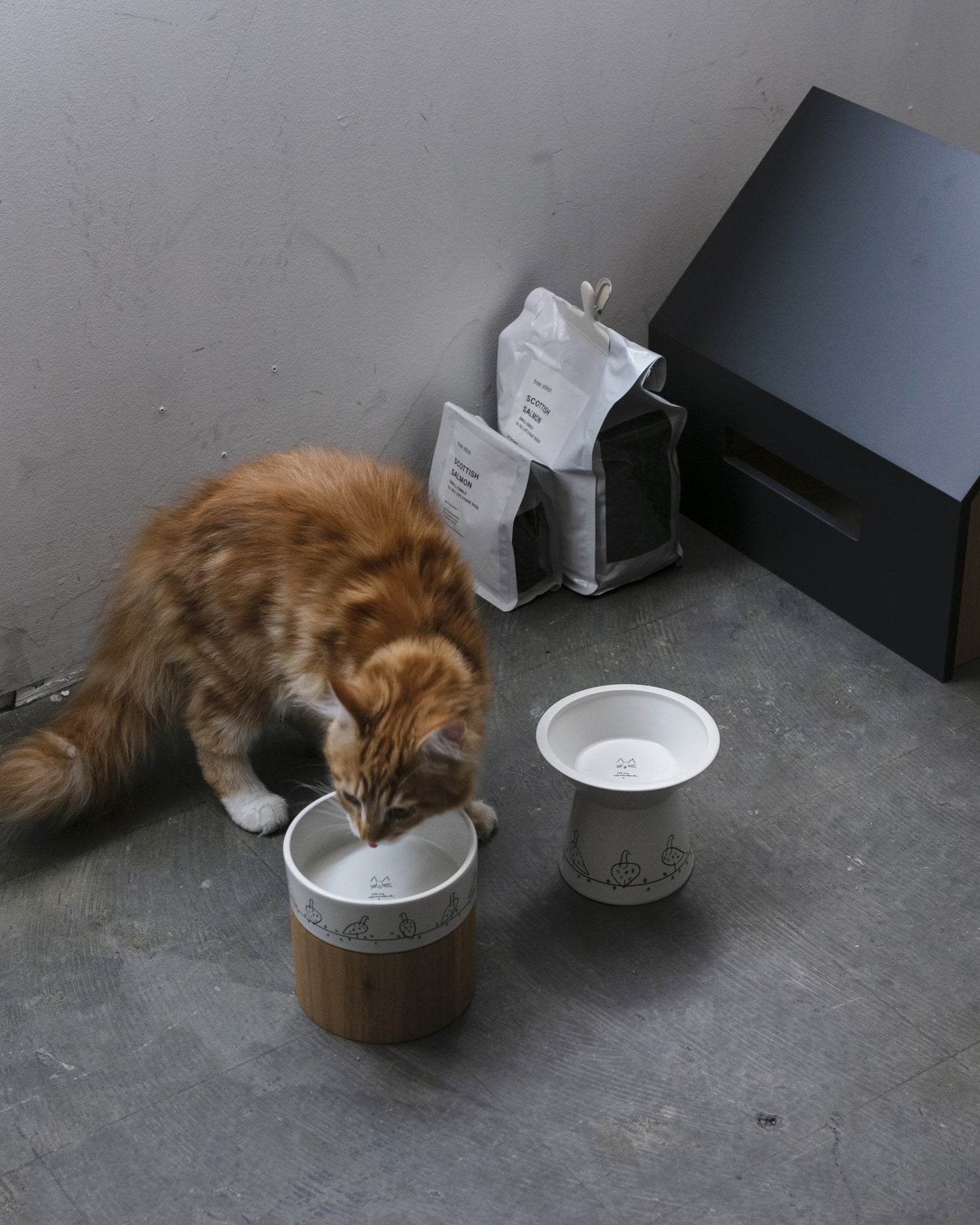 山口一郎 / water bowl