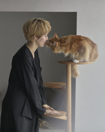 KINOBORI ｜ 猫と暮らす、無垢材のキャットタワー。インテリアにも 