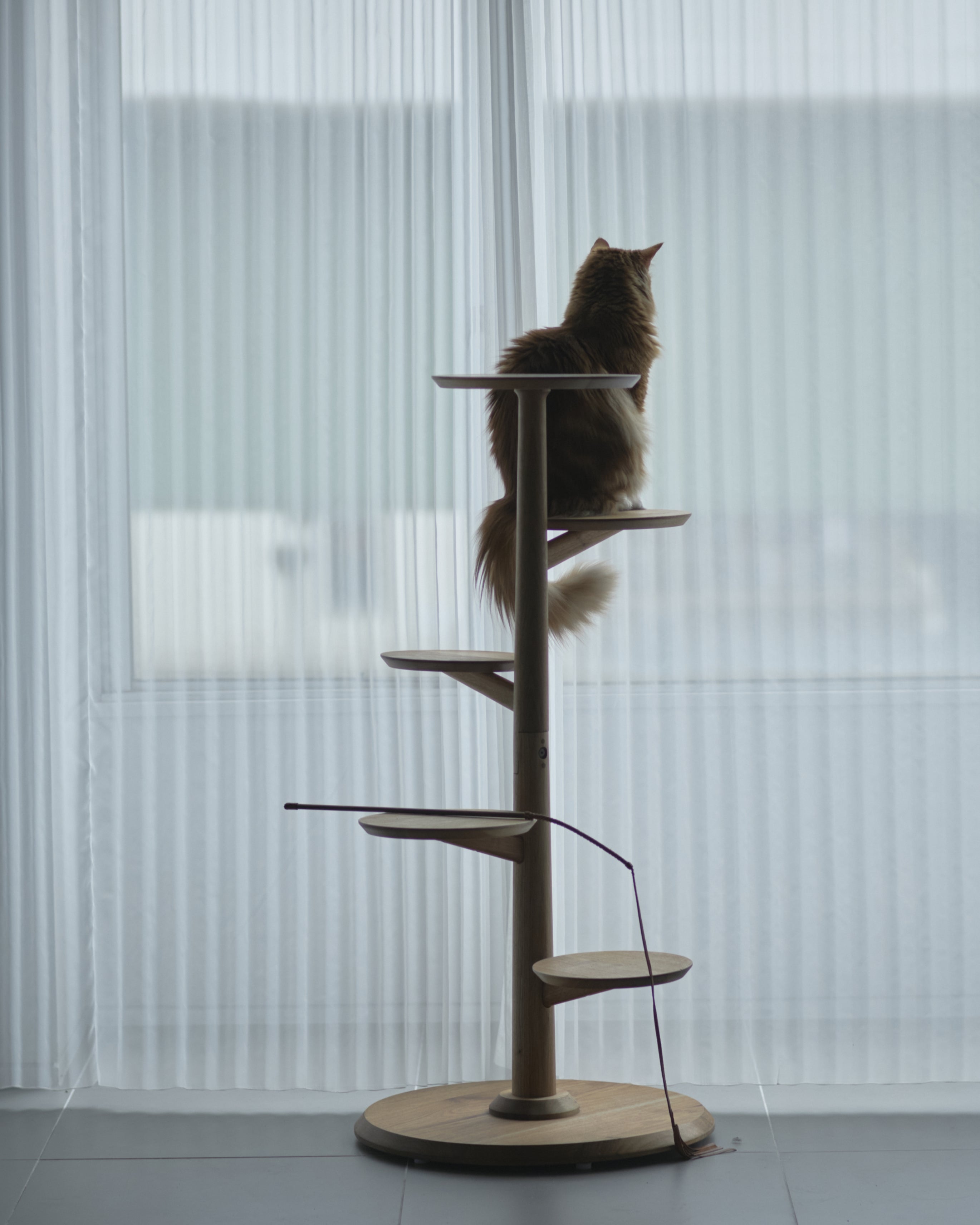 KINOBORI ｜ 猫と暮らす、無垢材のキャットタワー。インテリアに