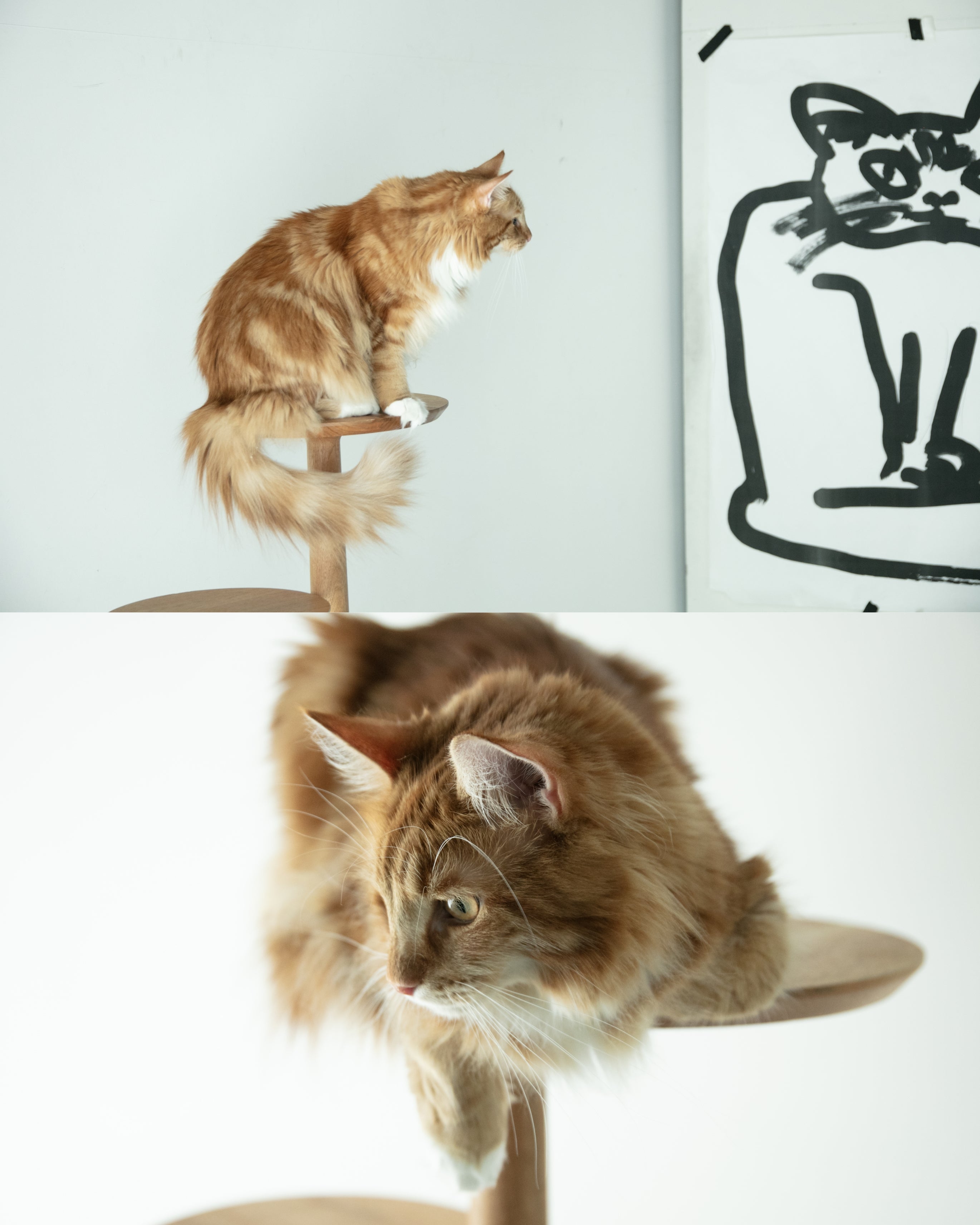 KINOBORI ｜ 猫と暮らす、無垢材のキャットタワー。インテリアにも
