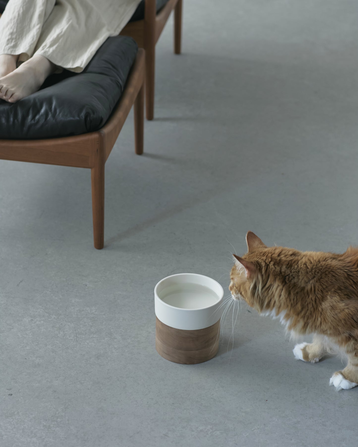 LINEA / water bowl