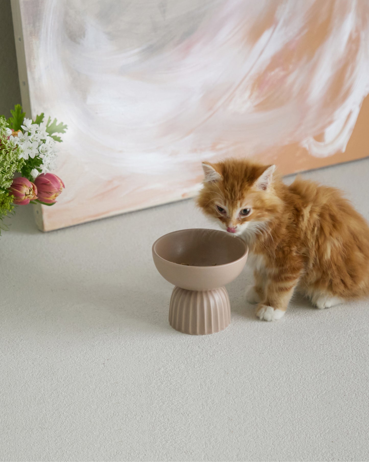 MOG BOWL