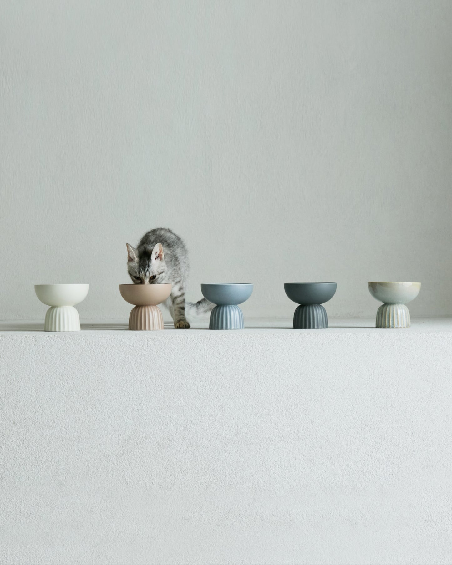 MOG BOWL