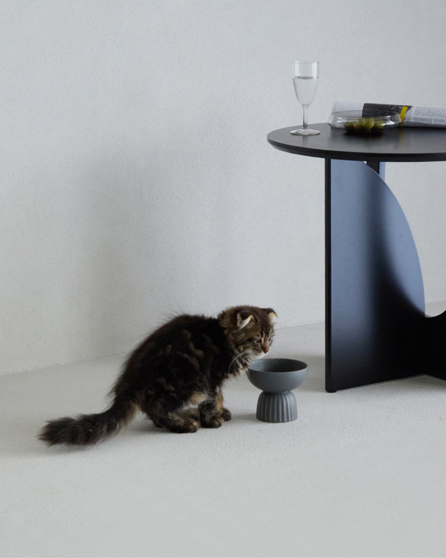 MOG BOWL