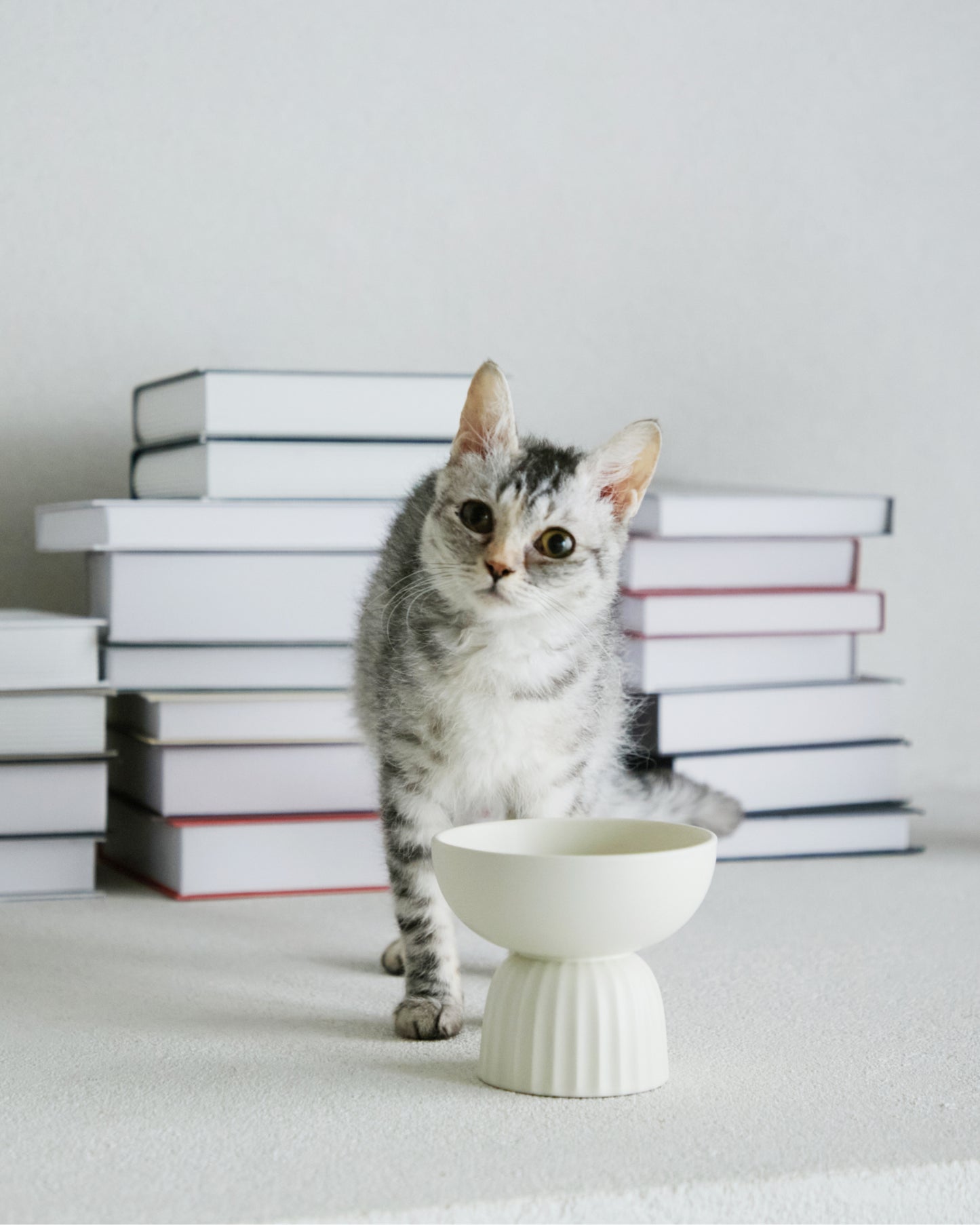 MOG BOWL