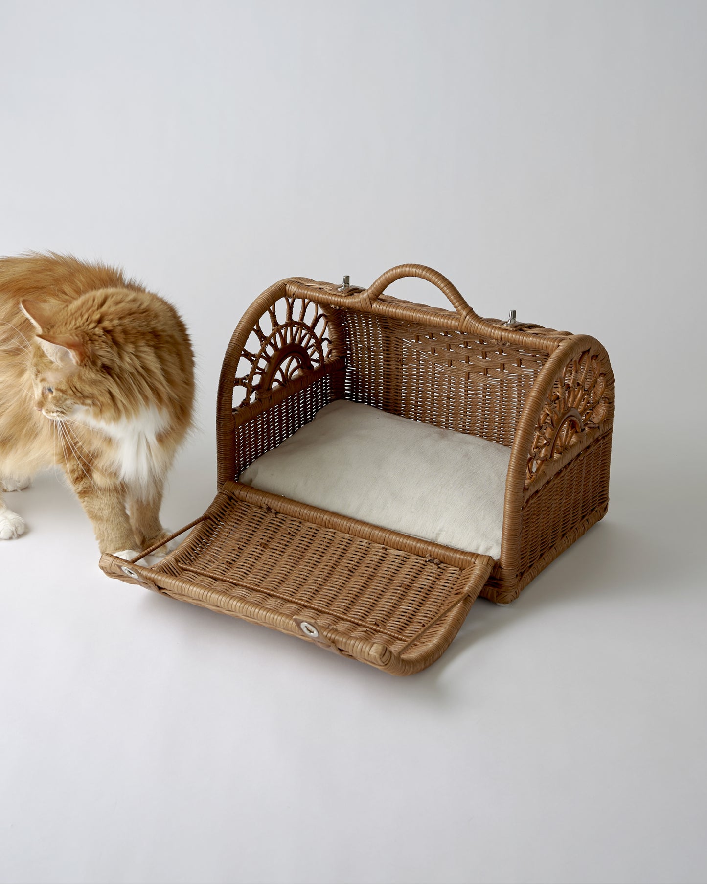 RATTAN CARRY BAG