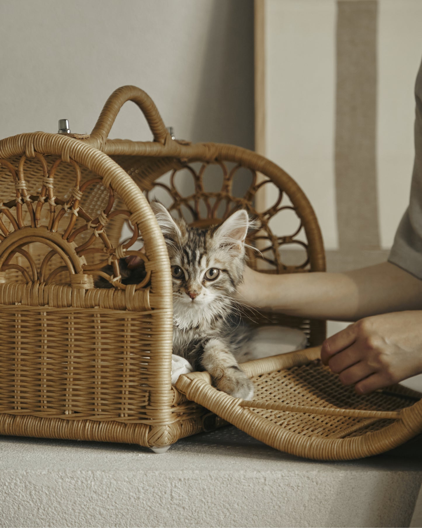 RATTAN CARRY BAG