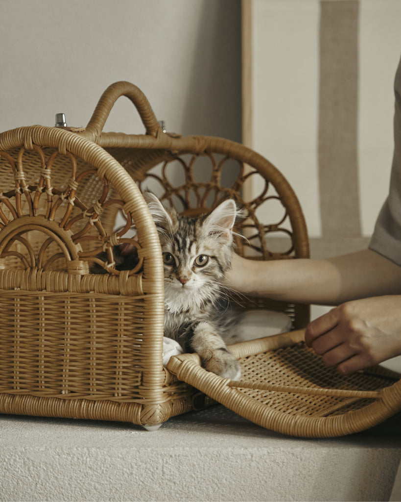 RATTAN CARRY BAG