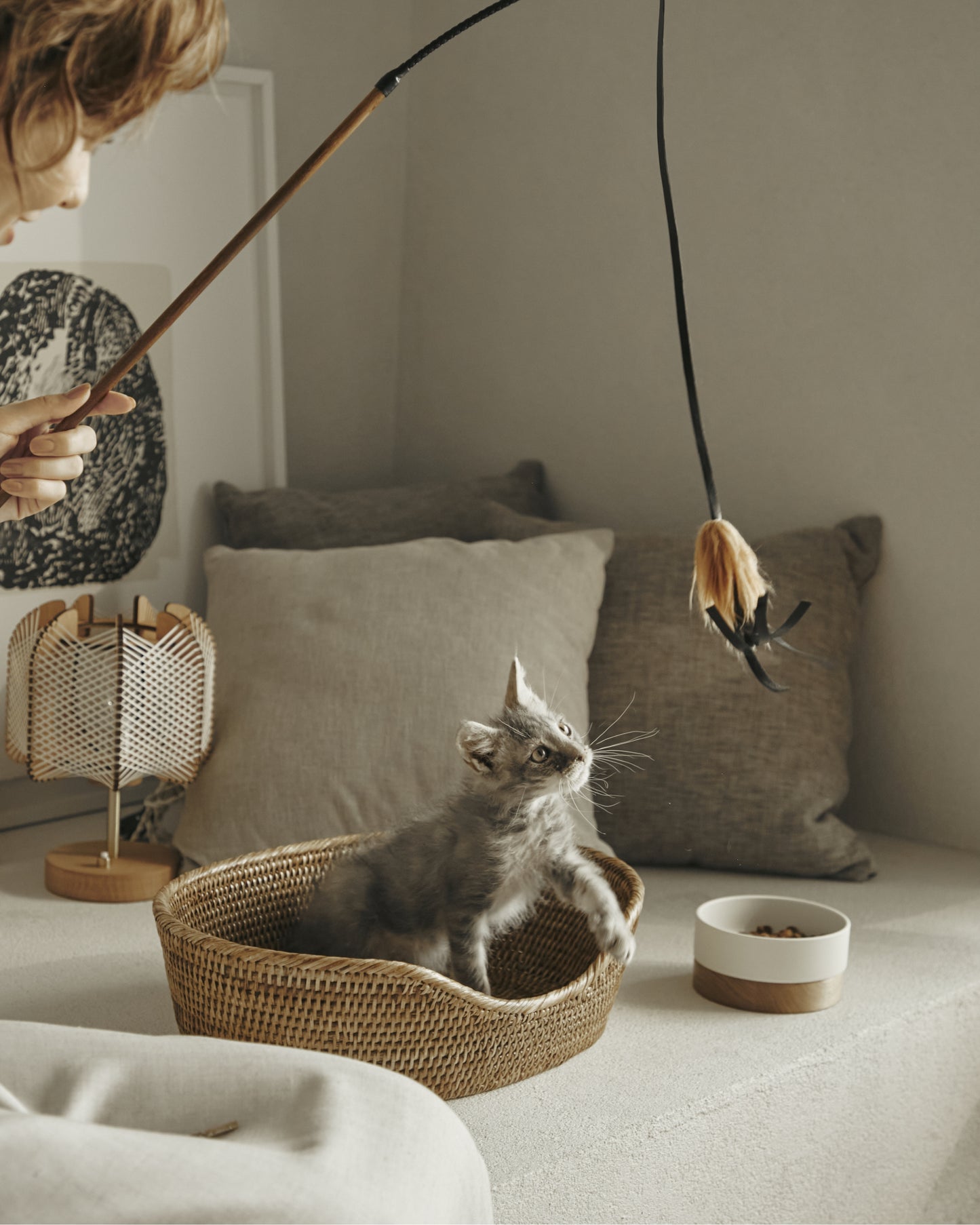 RATTAN PET BED