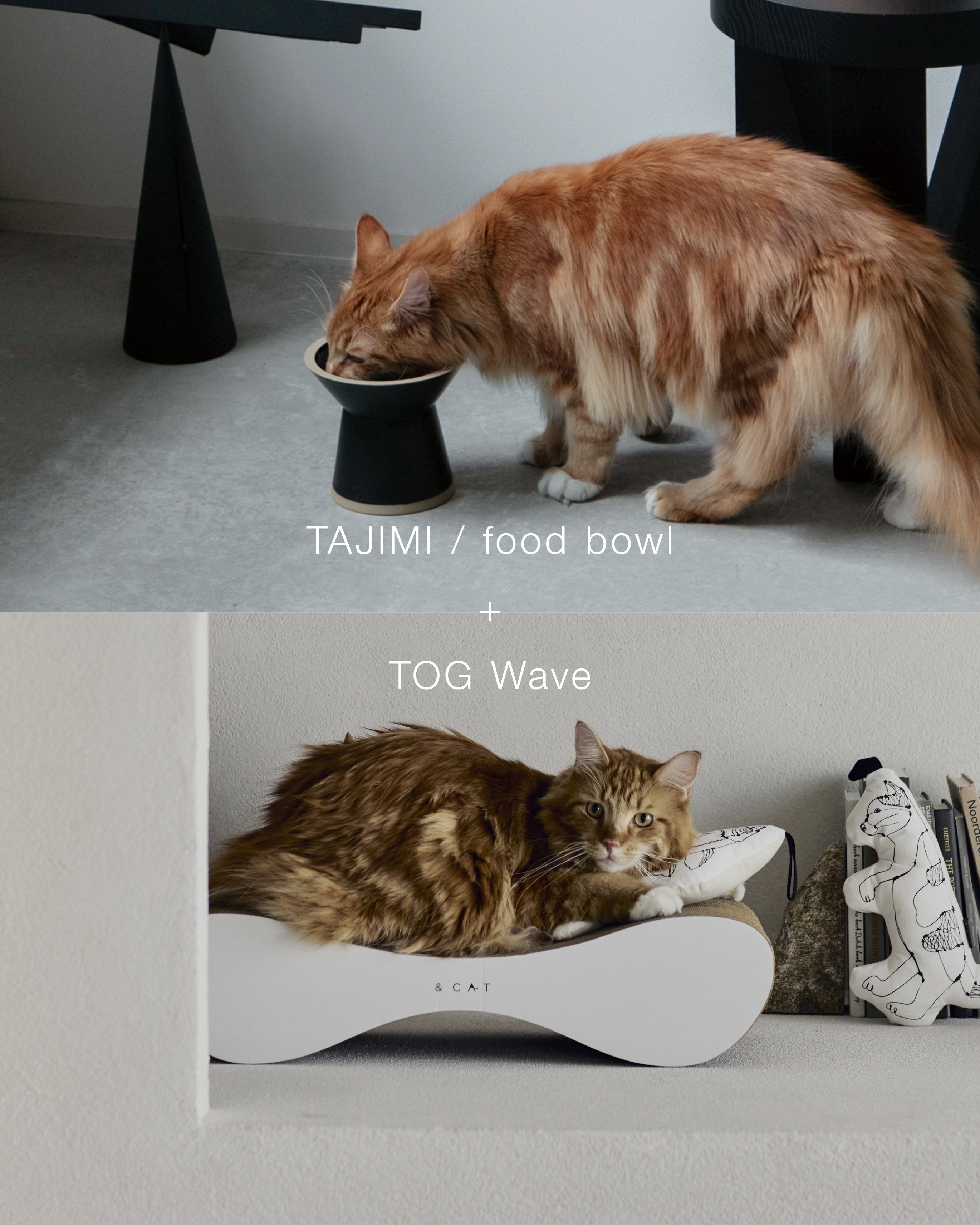 セット販売 ｜ 猫と暮らす上質なフードボウルや爪とぎなどをお得に