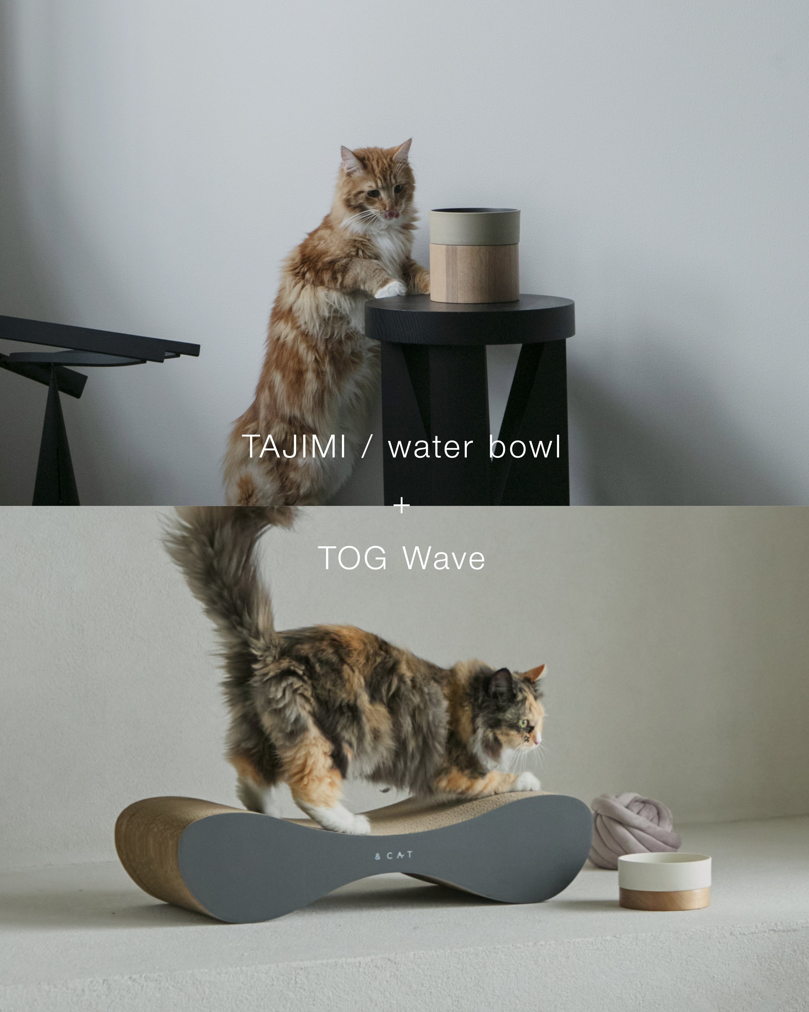 セット販売 ｜ 猫と暮らす上質なフードボウルや爪とぎなどをお得に