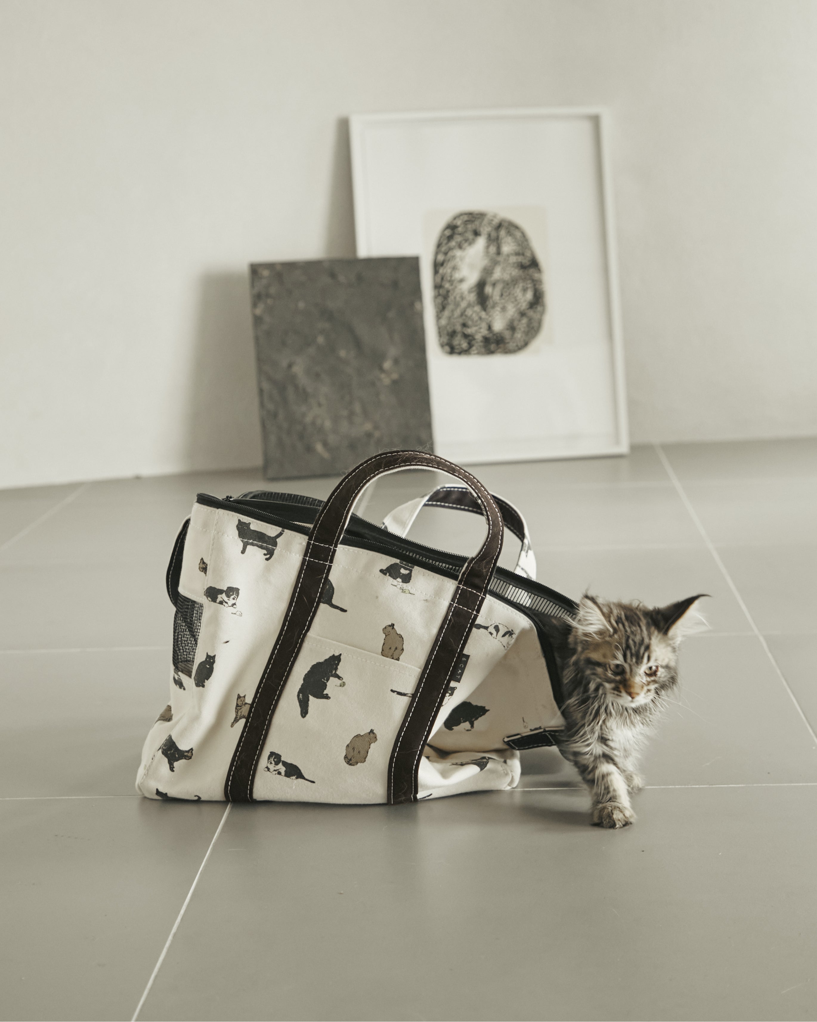 CARRY TOTE BAG ｜ TEMBEA × &CATの猫用キャリーバッグ。通院や