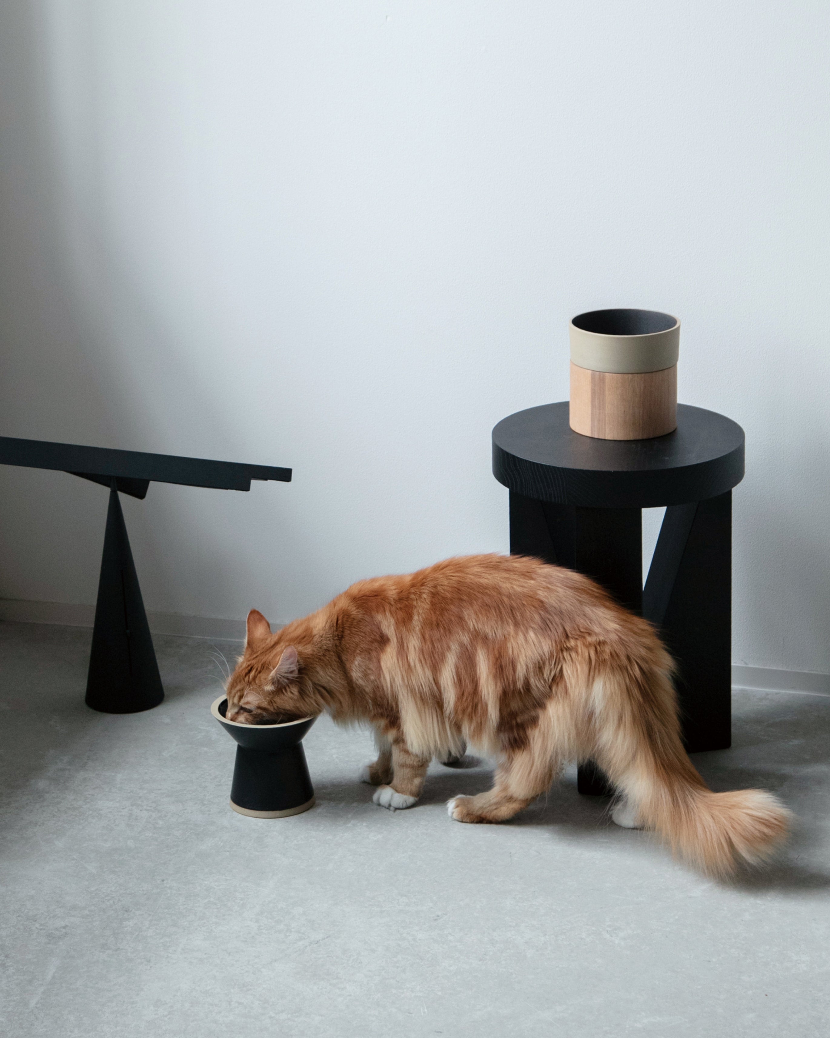 CHALICE｜獣医師監修で国産・美濃焼のシンプルデザインの猫用フード