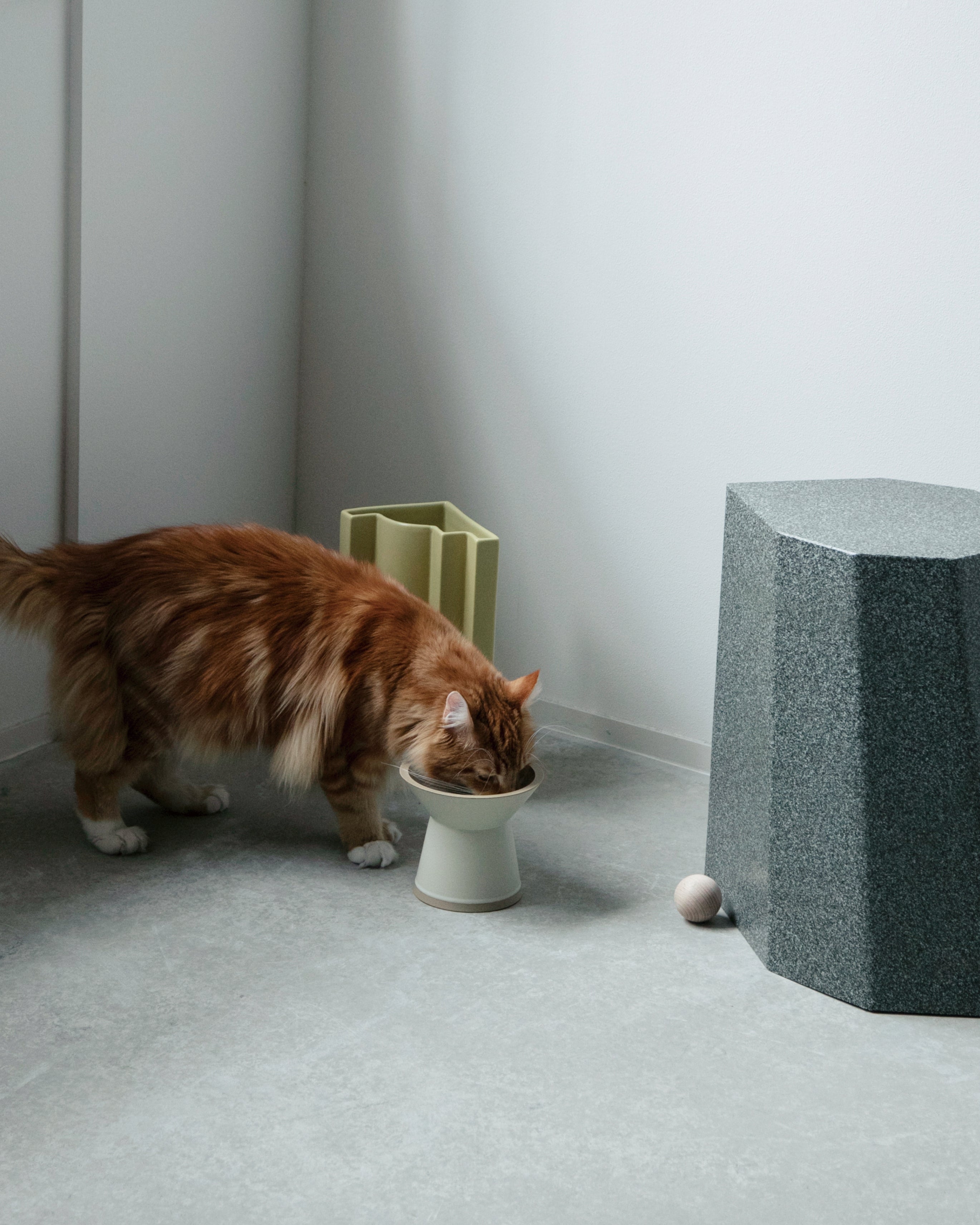 ●【2502】90.猫皿…備前焼 ねこ 取皿 18cm 取り皿 ケーキ皿 瀬戸焼 – aito(アイトー)製作所