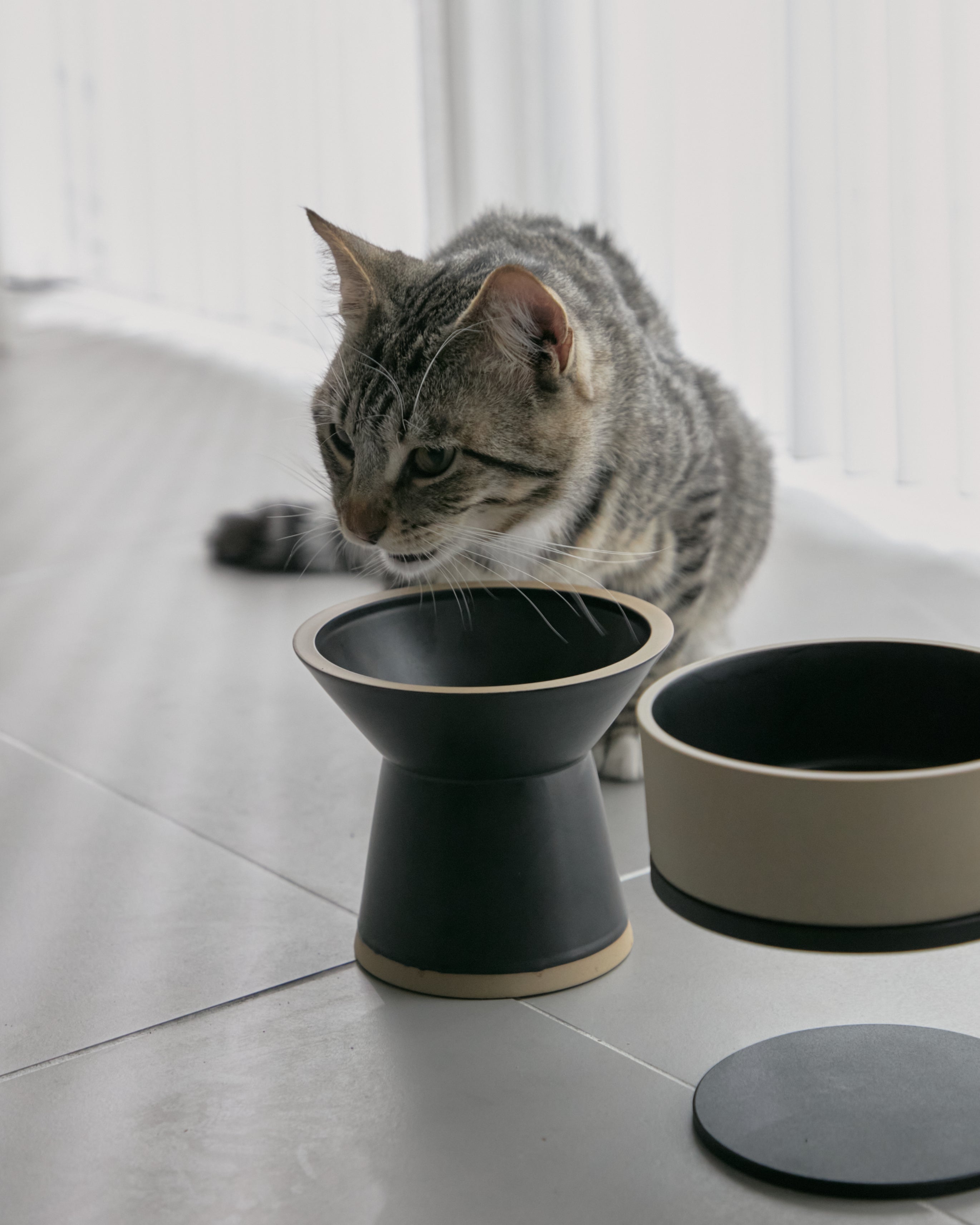 CHALICE｜獣医師監修で国産・美濃焼のシンプルデザインの猫用フード