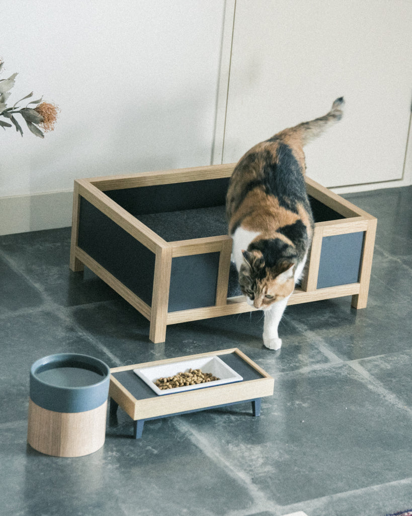 TONOA / pet feeder