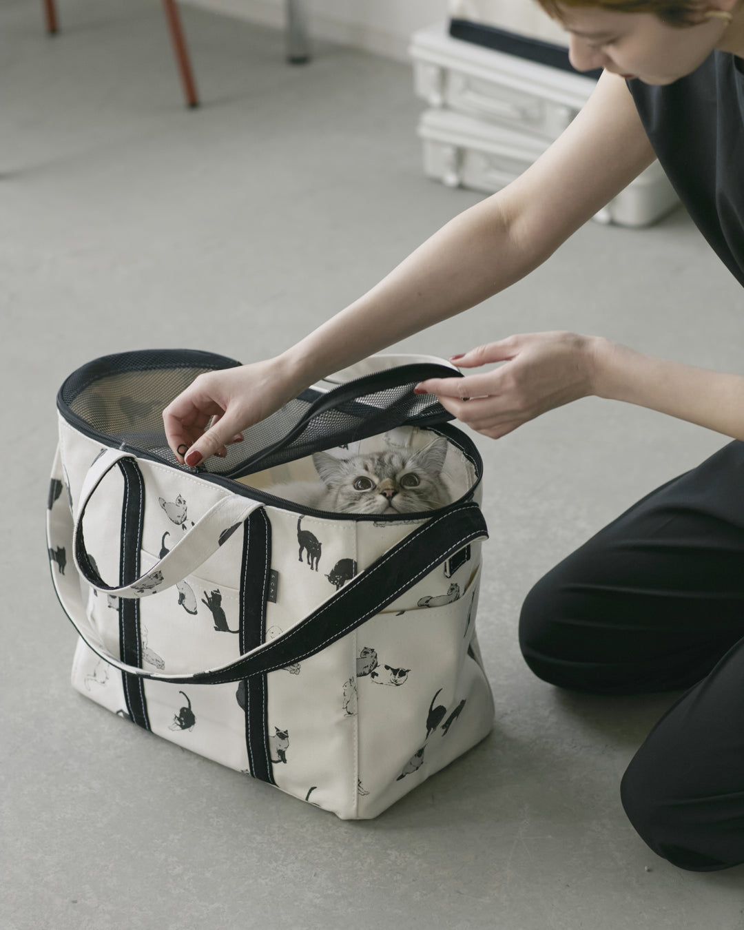 CARRY TOTE BAG ｜ TEMBEA × &CATの猫用キャリーバッグ。通院や 