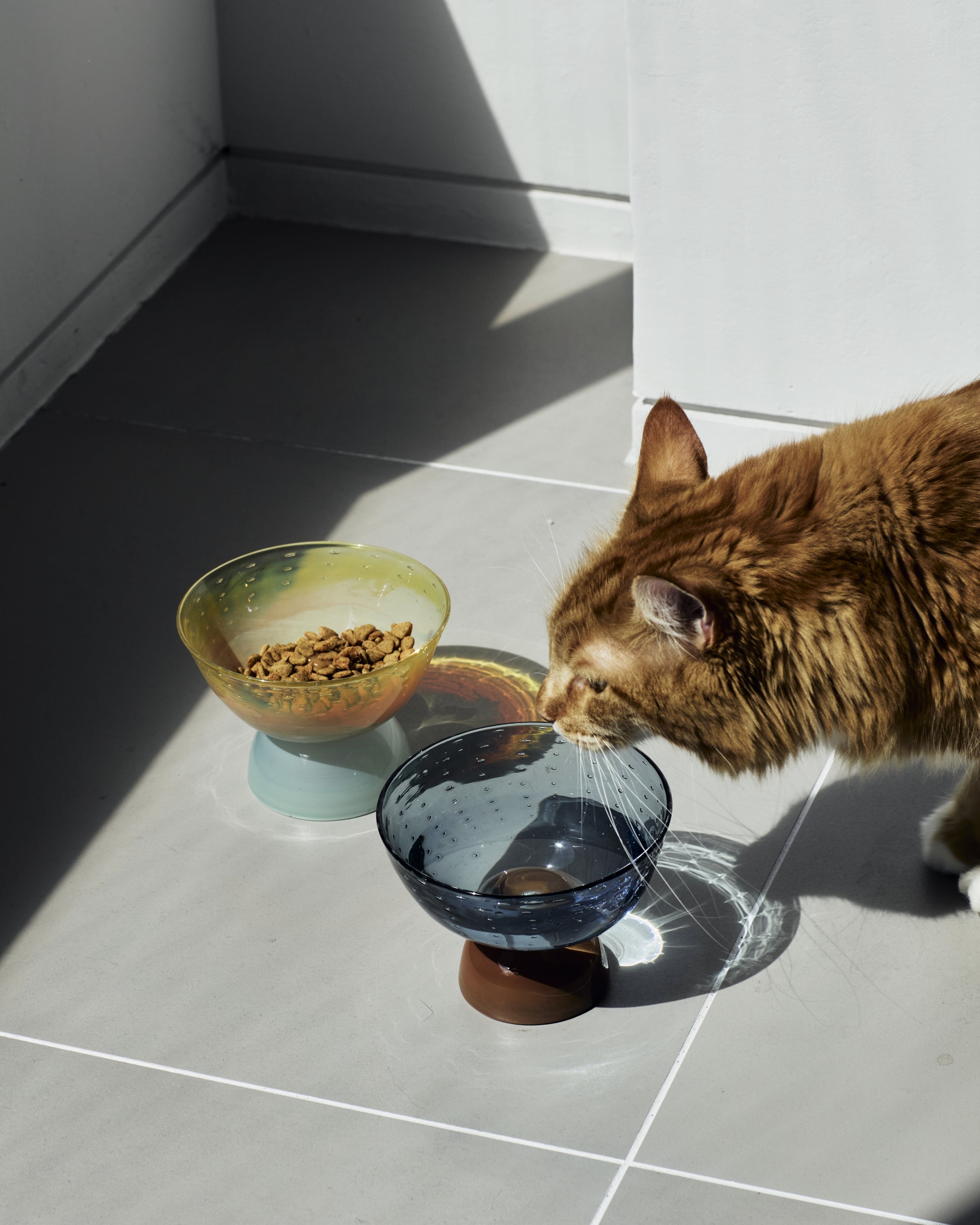 UTSUROI / glass bowl