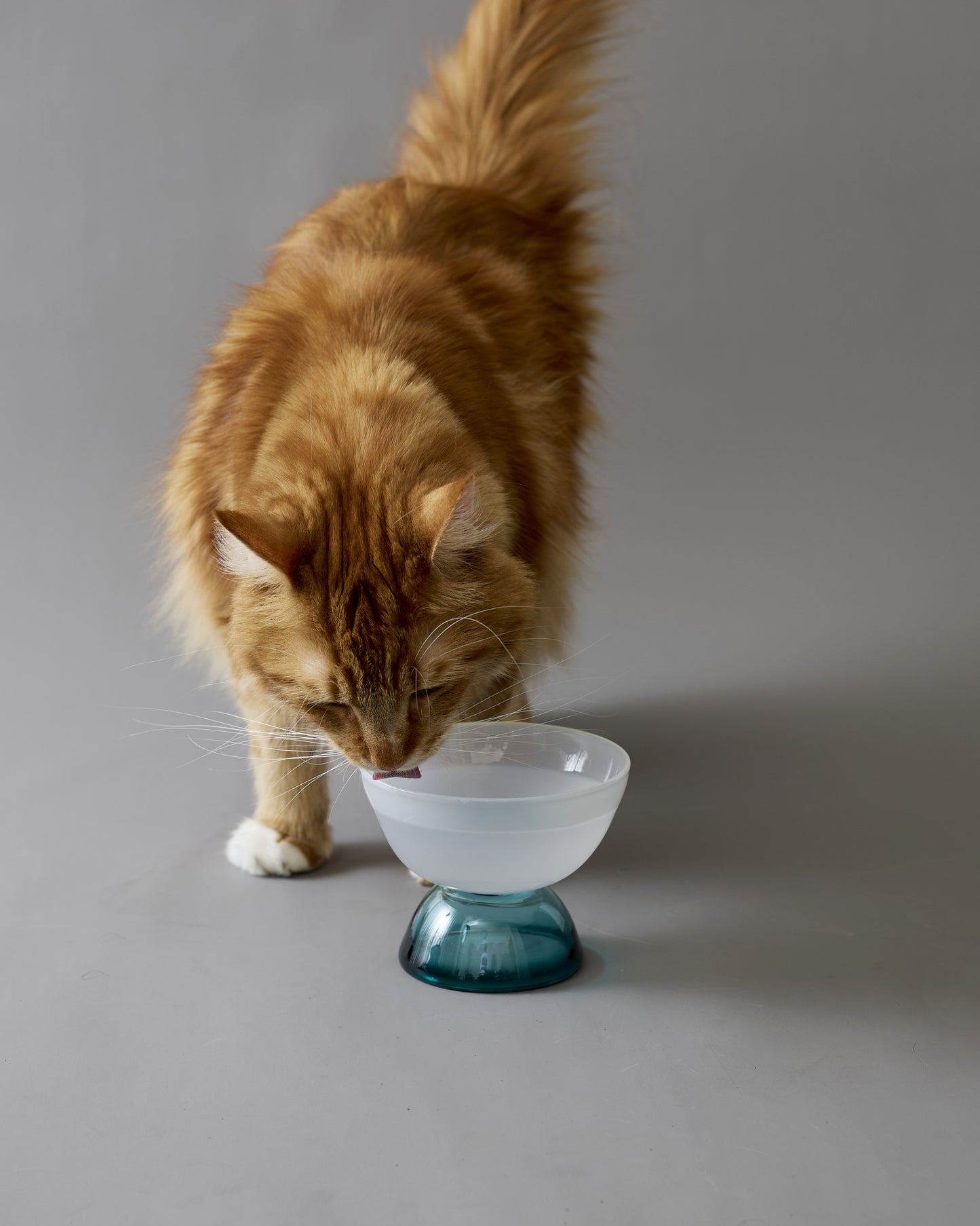 UTSUROI / glass bowl