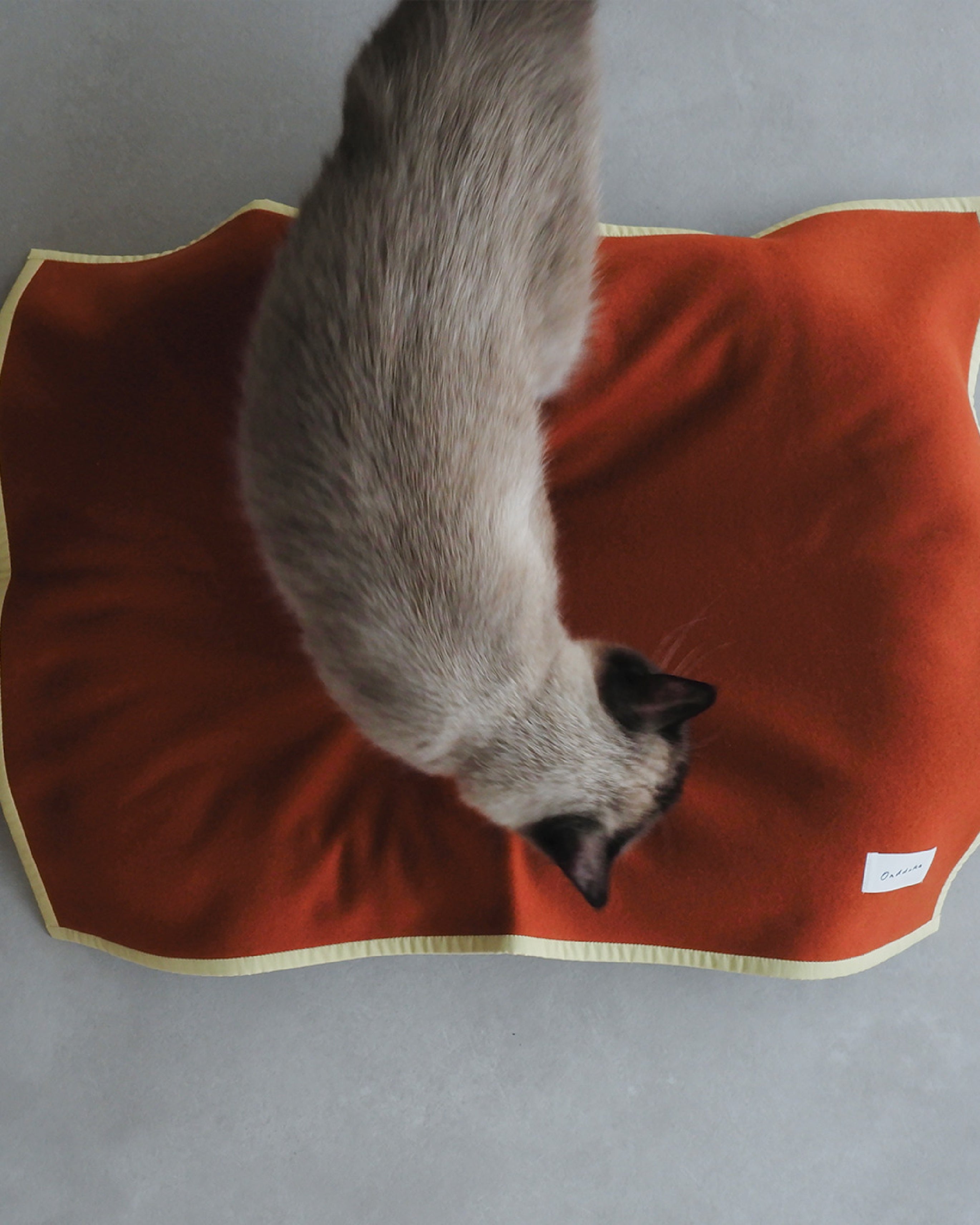 WOOL CAT BLANKET｜寒い季節にぴったり。ふんわりあたたかい、猫のため