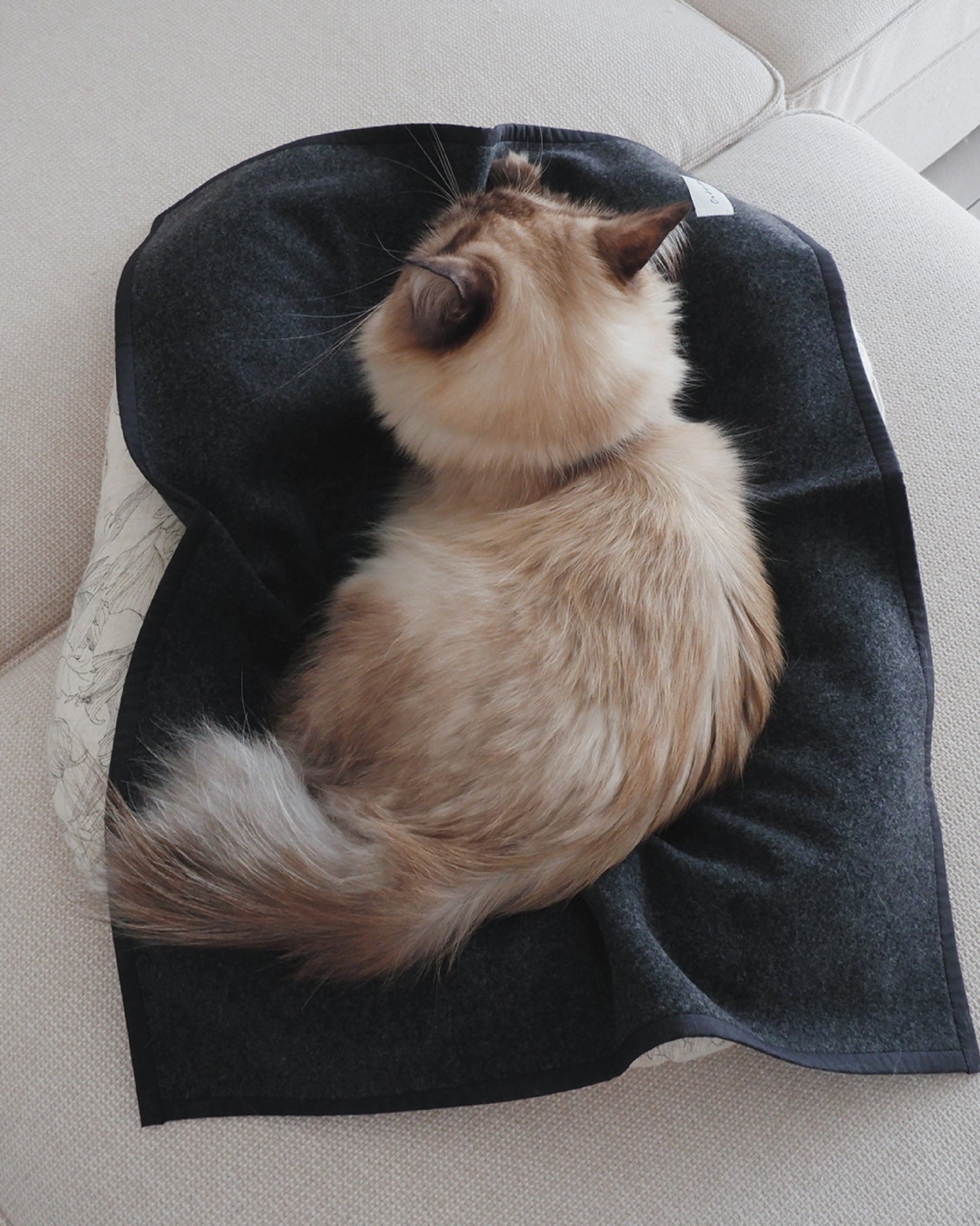 WOOL CAT BLANKET