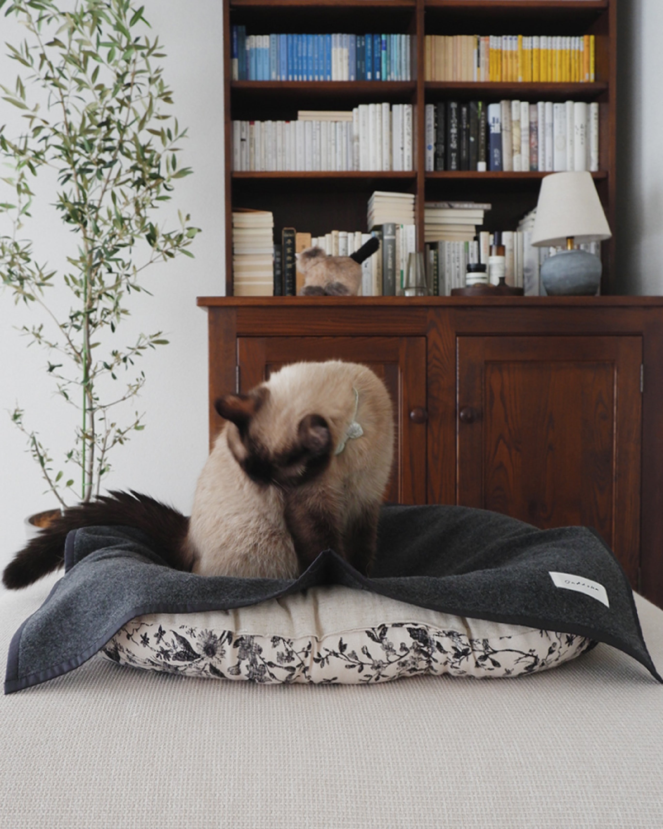 WOOL CAT BLANKET｜寒い季節にぴったり。ふんわりあたたかい、猫のため