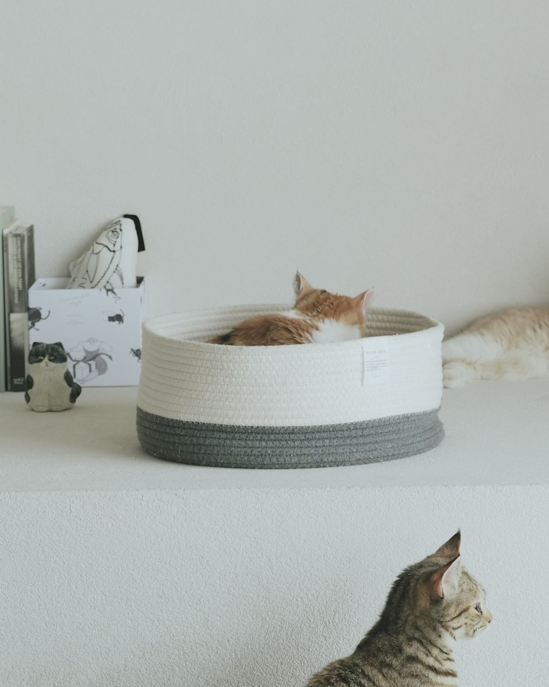 ROPE BED | 丸型デザインで猫が安心して眠れる、おしゃれで洗える