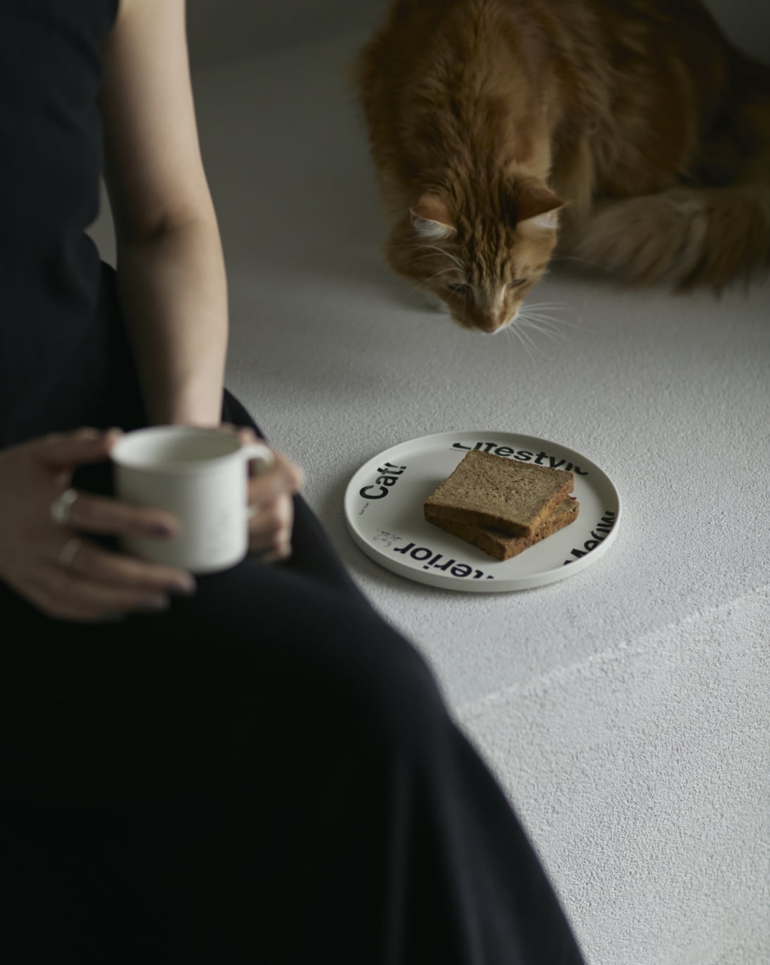 &CAT 的商品照片