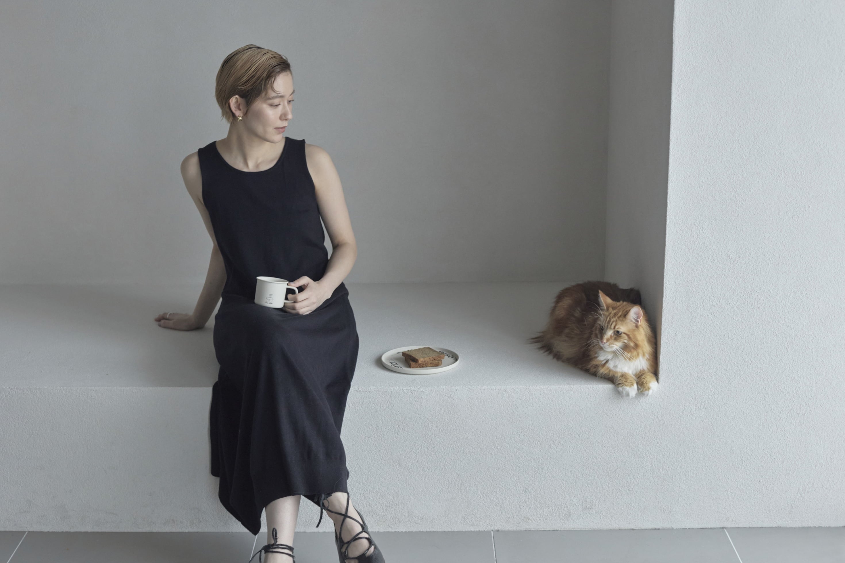 &CAT のスライド