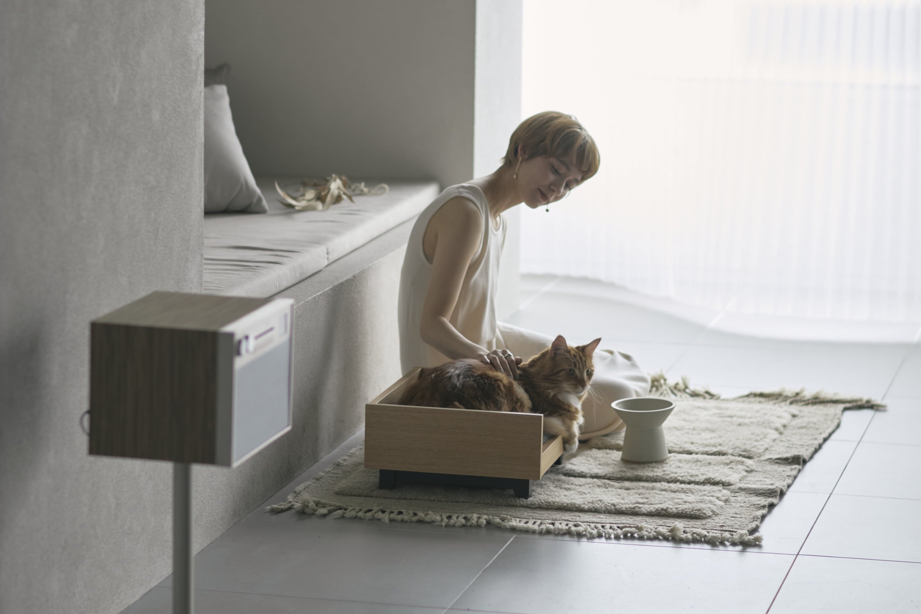 &CAT のスライド