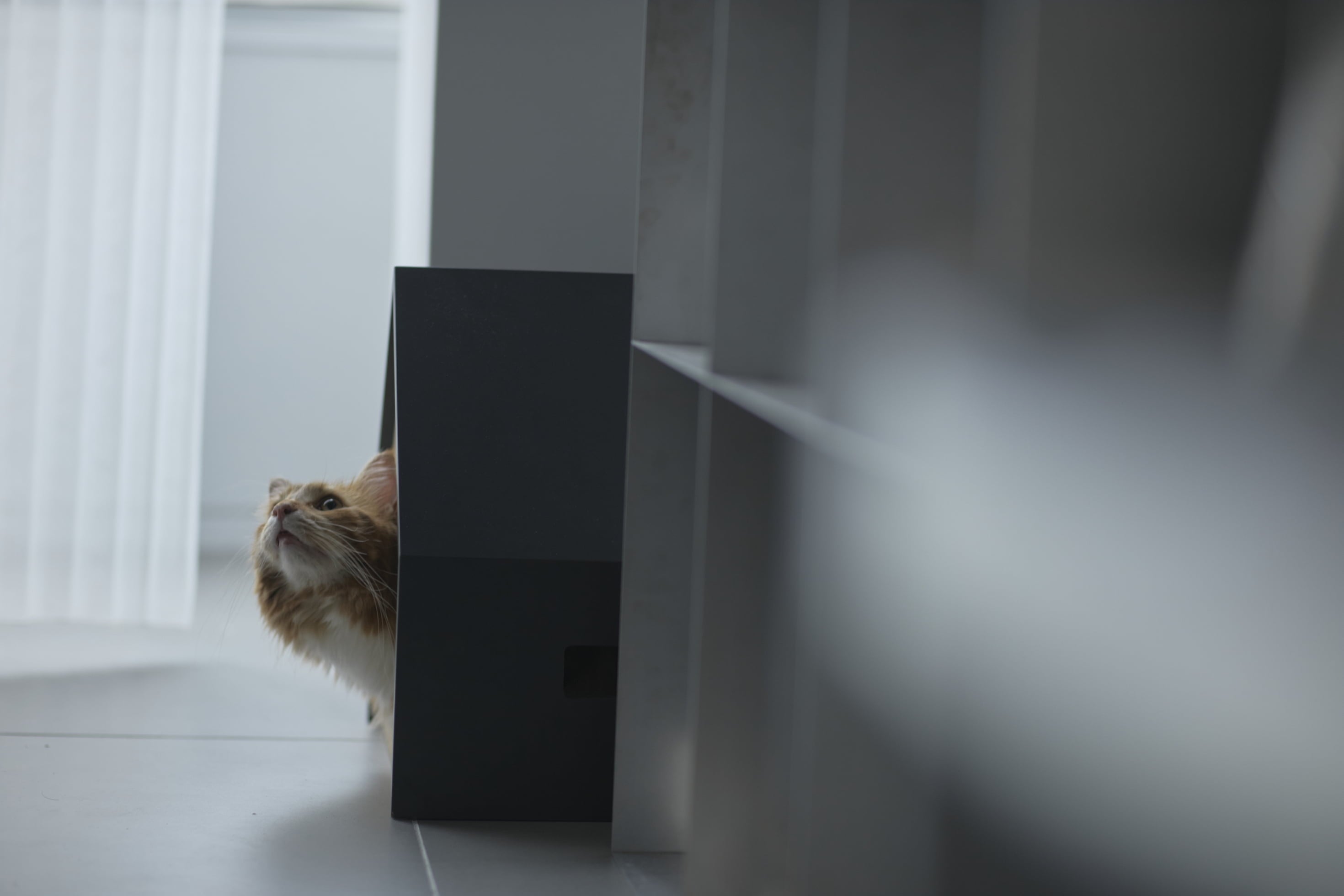 &CAT のスライド