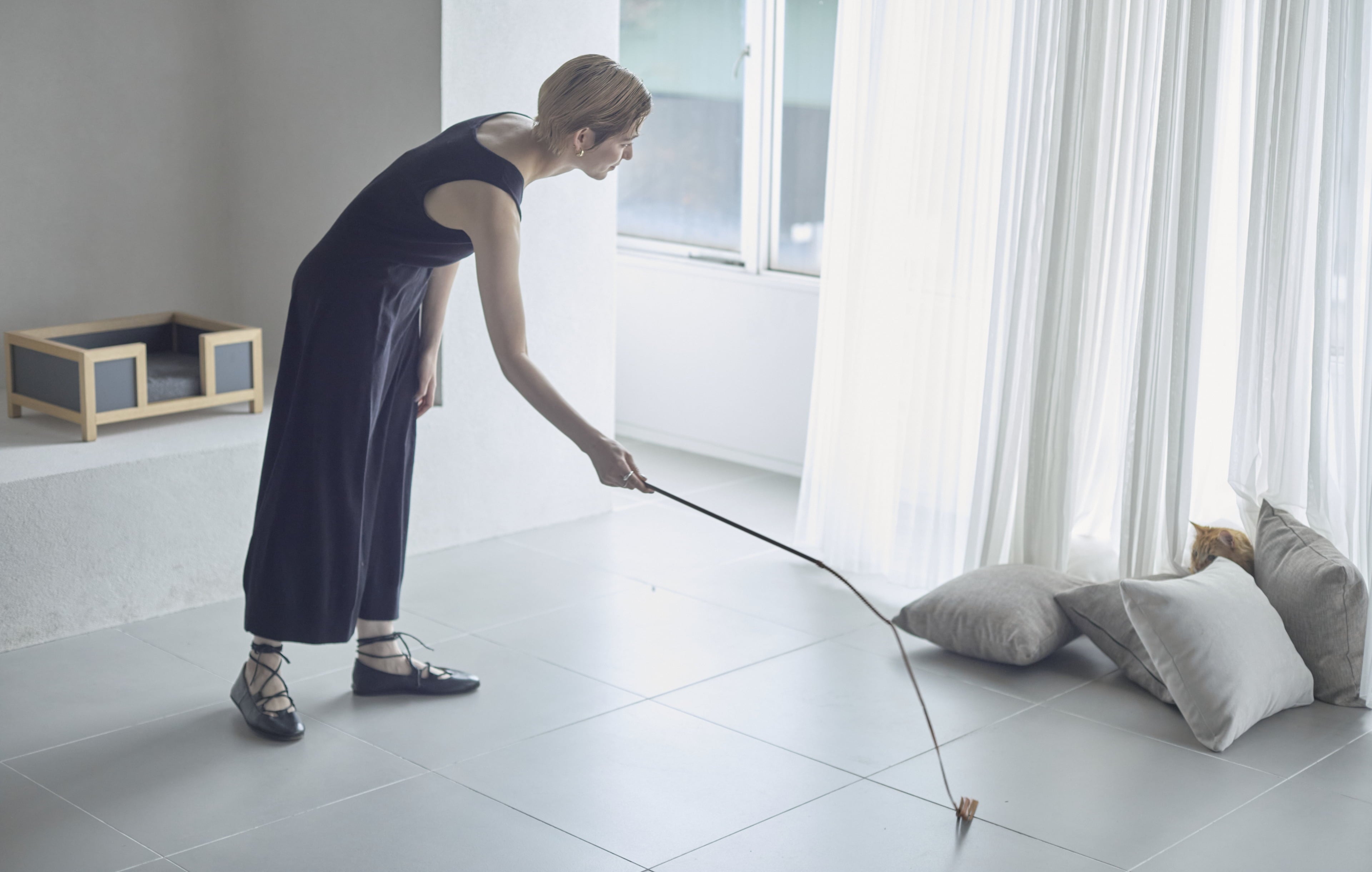 猫カゴの中