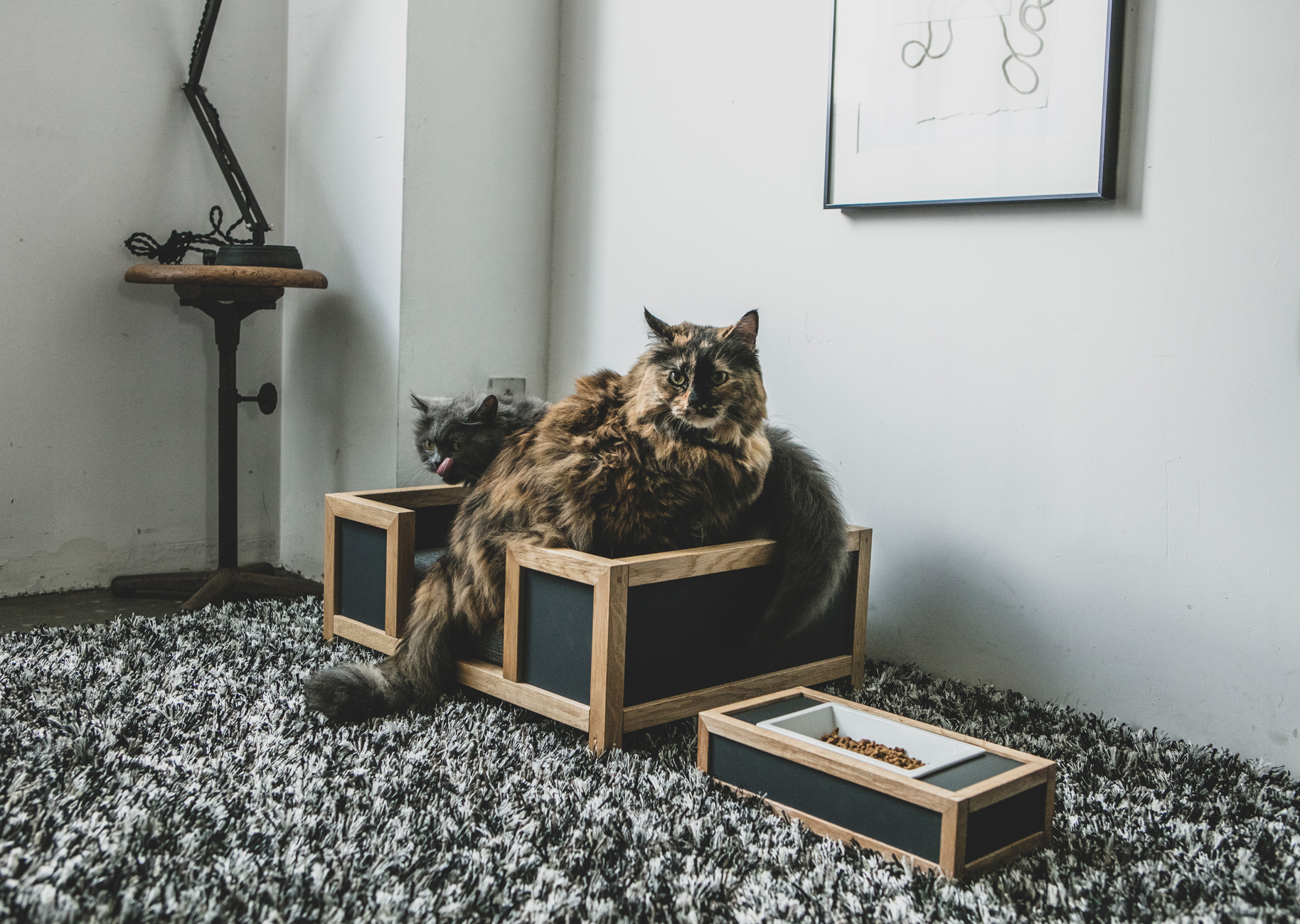 猫用ベッド