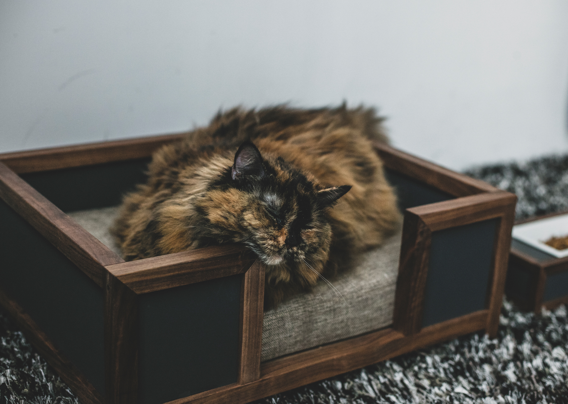 猫用ベッド