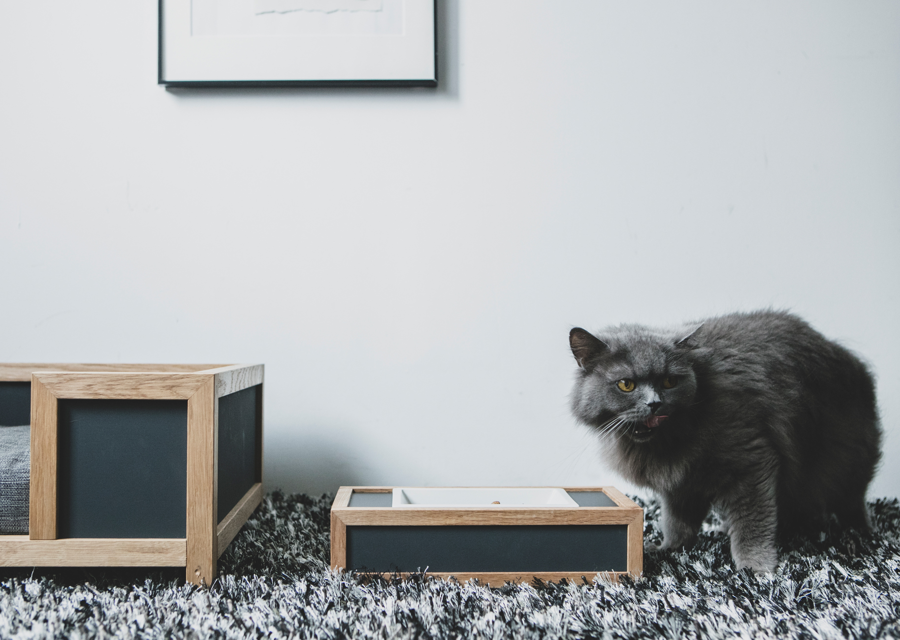 猫の餌入れ