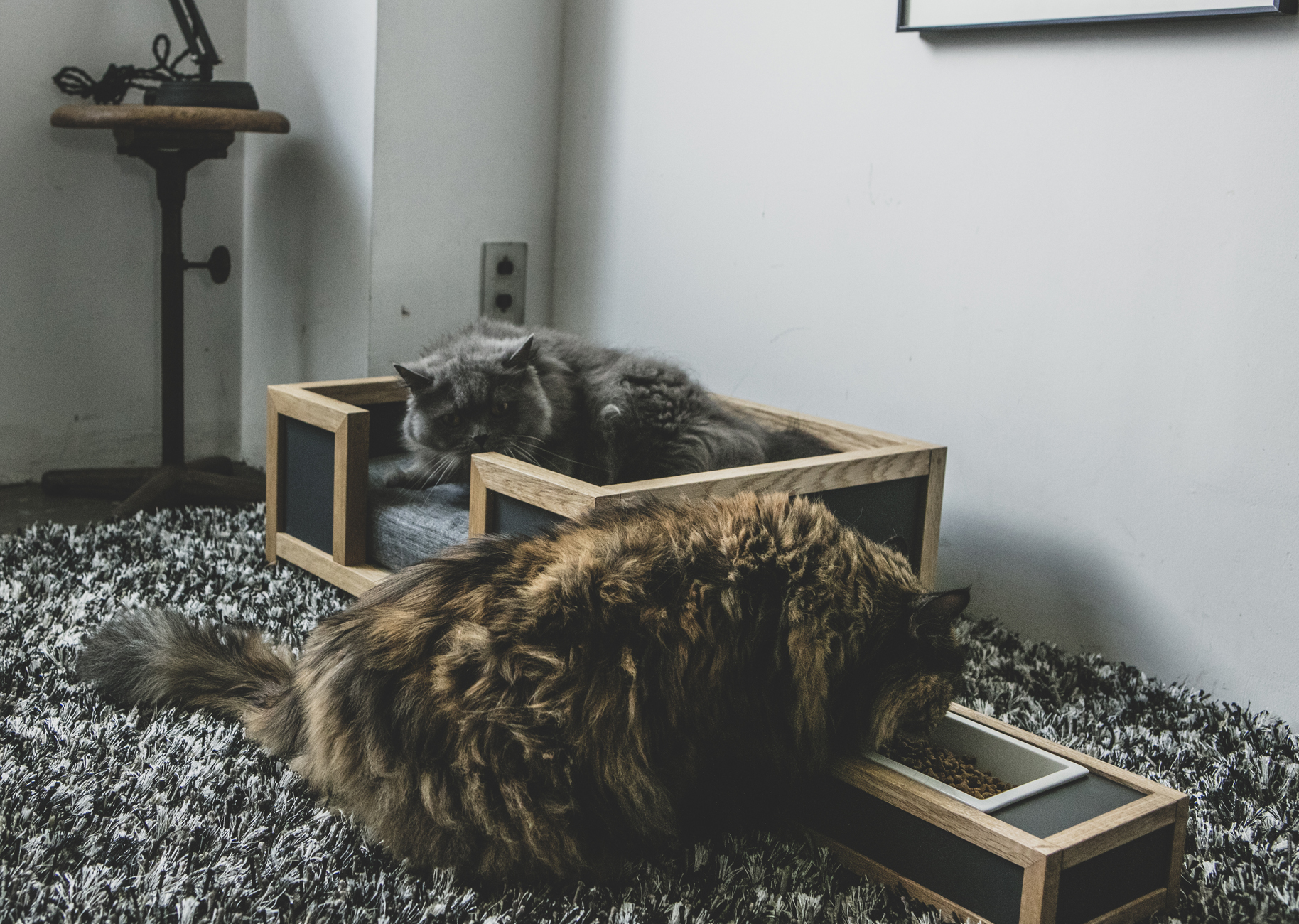 猫の餌入れ