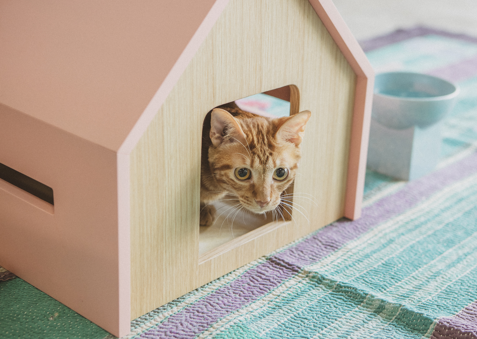 キャットハウス