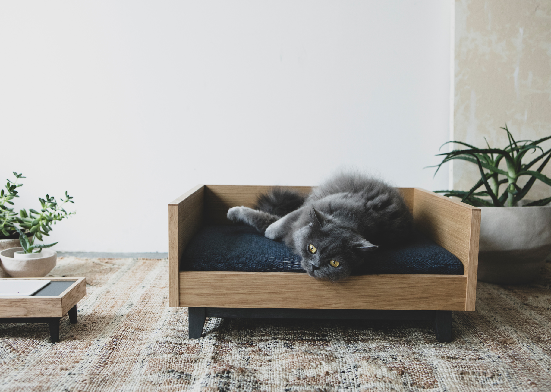 猫用ベッド