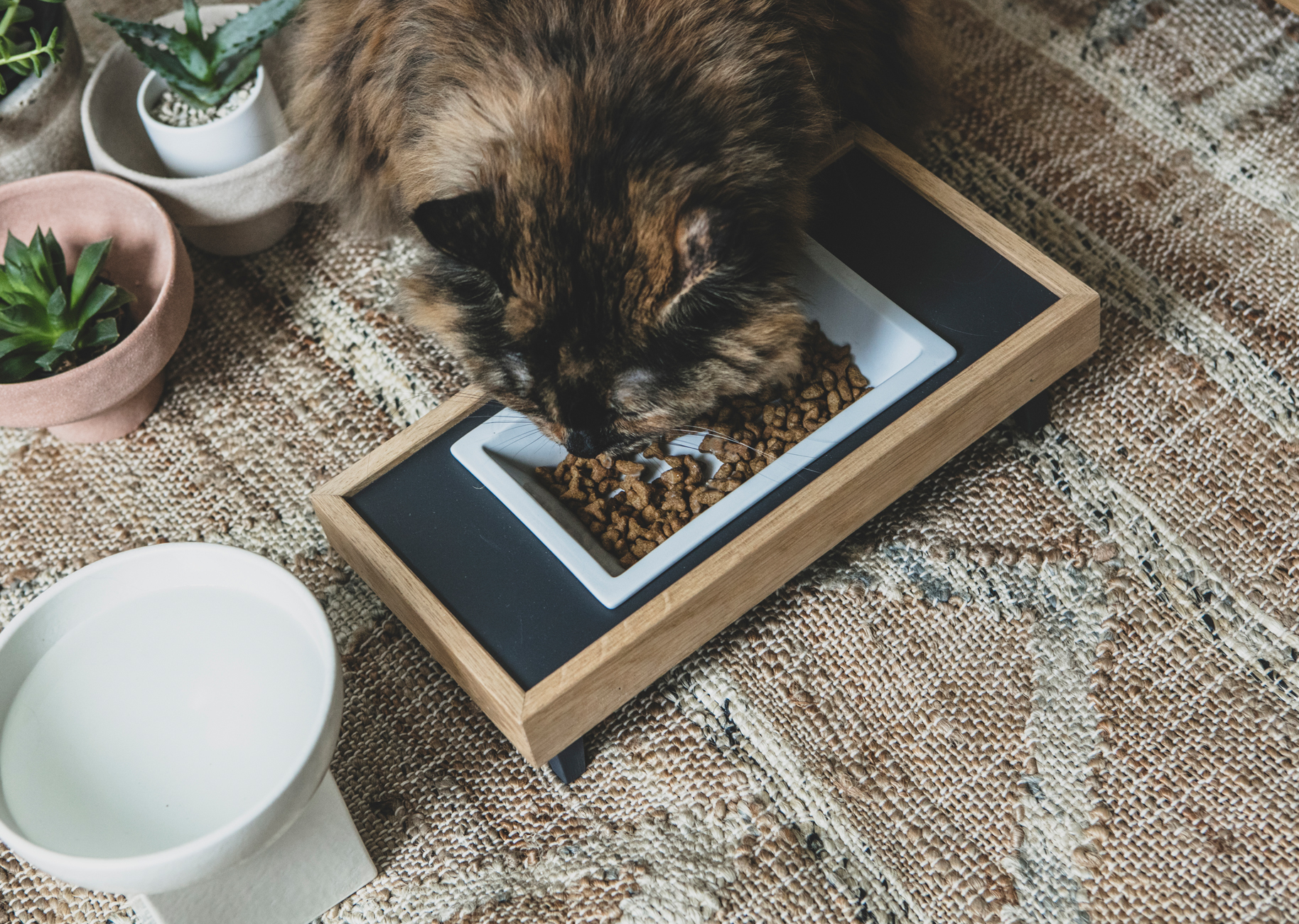 猫の餌入れ