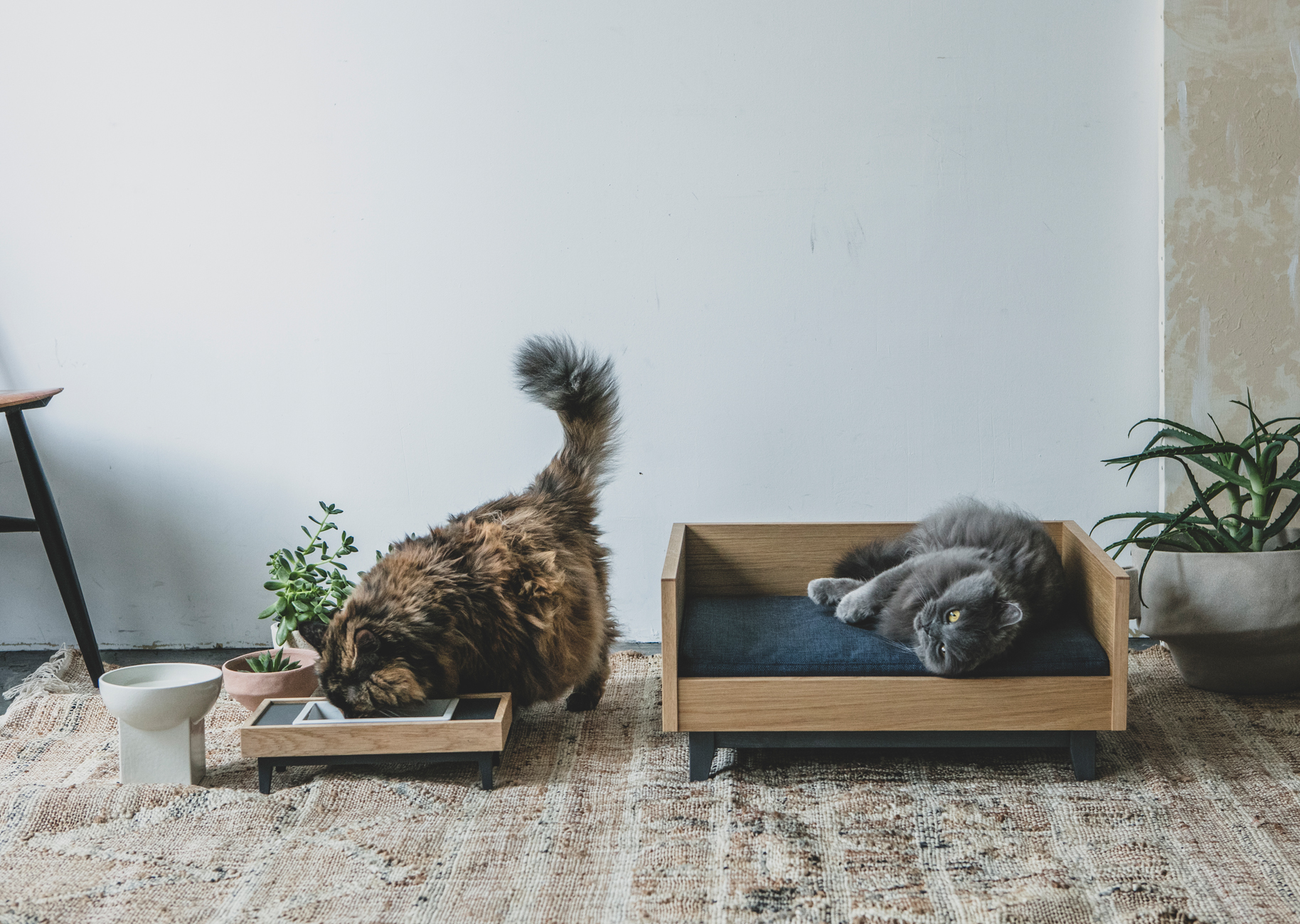 猫の餌入れ